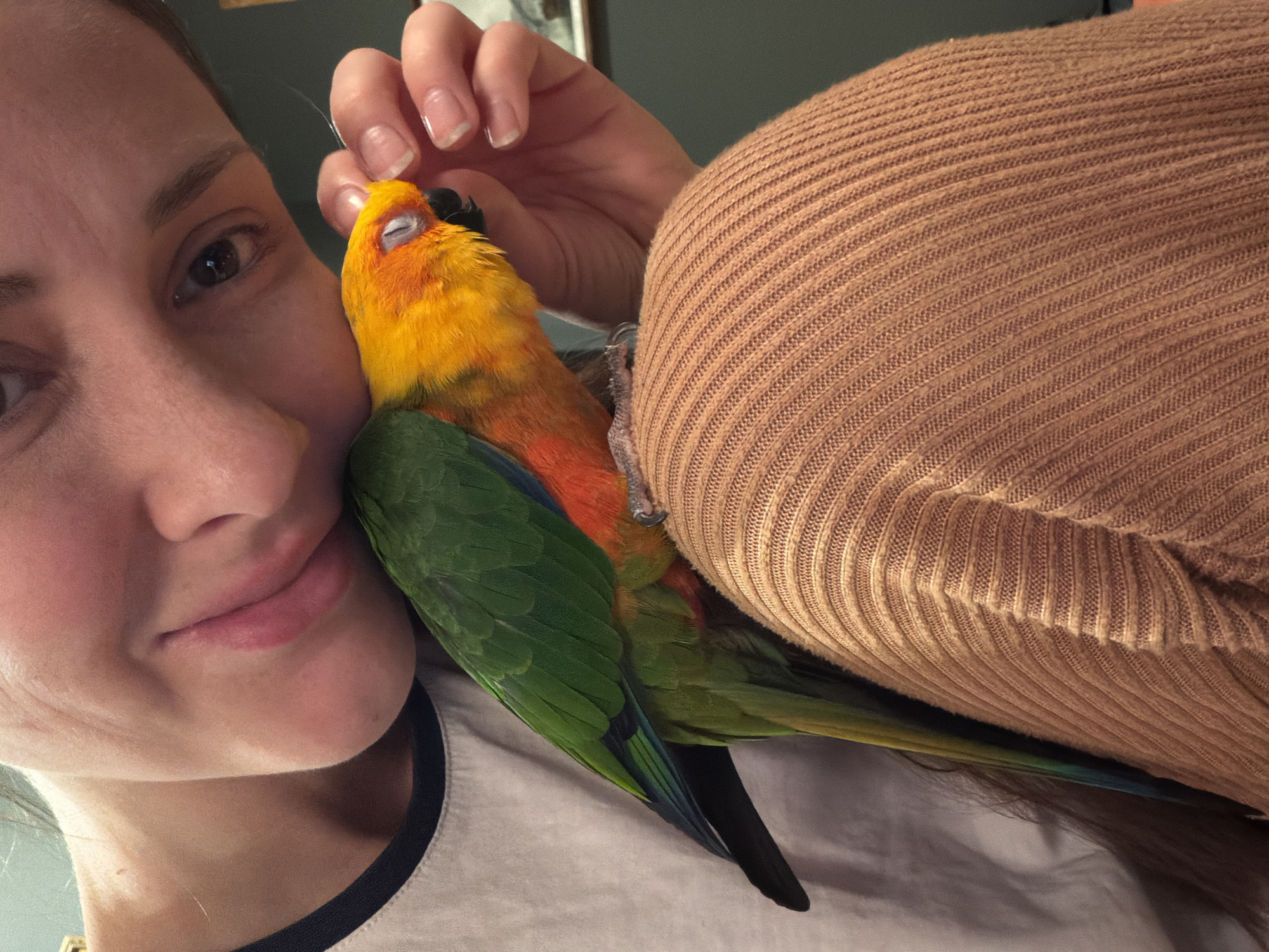 A woman is shown from the chest up, posing with a colorful parrot nestled against her cheek. The woman has fair skin, brown hair, and is smiling gently. She is wearing a white t-shirt with a black trim around the neckline. Her right hand is raised near the parrot's head, possibly petting it. The parrot is predominantly yellow and green with patches of orange and a black beak. Part of a brown ribbed sweater is visible behind the bird, draped over the woman's shoulder. The background is a dark, indistinct color. There's no data indicating the location in Khimki, Russia, or any reference to that city.