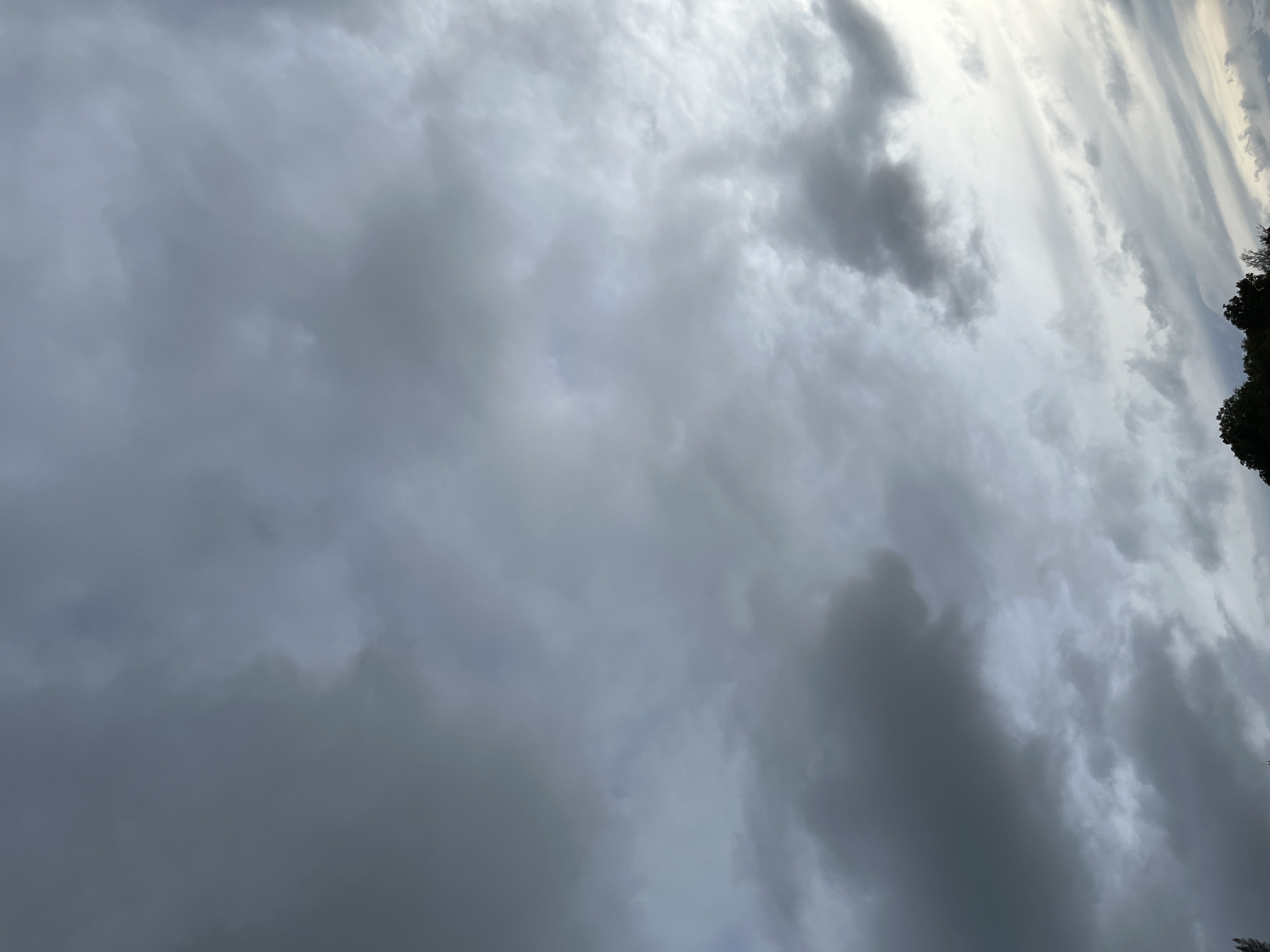 The image shows a cloudy sky with varying shades of gray and white. The clouds are dense and appear to be moving, suggesting a potentially stormy or overcast day. The lower part of the image shows the tops of dark green trees against the cloudy backdrop. The overall impression is one of a natural landscape under a dramatic sky.