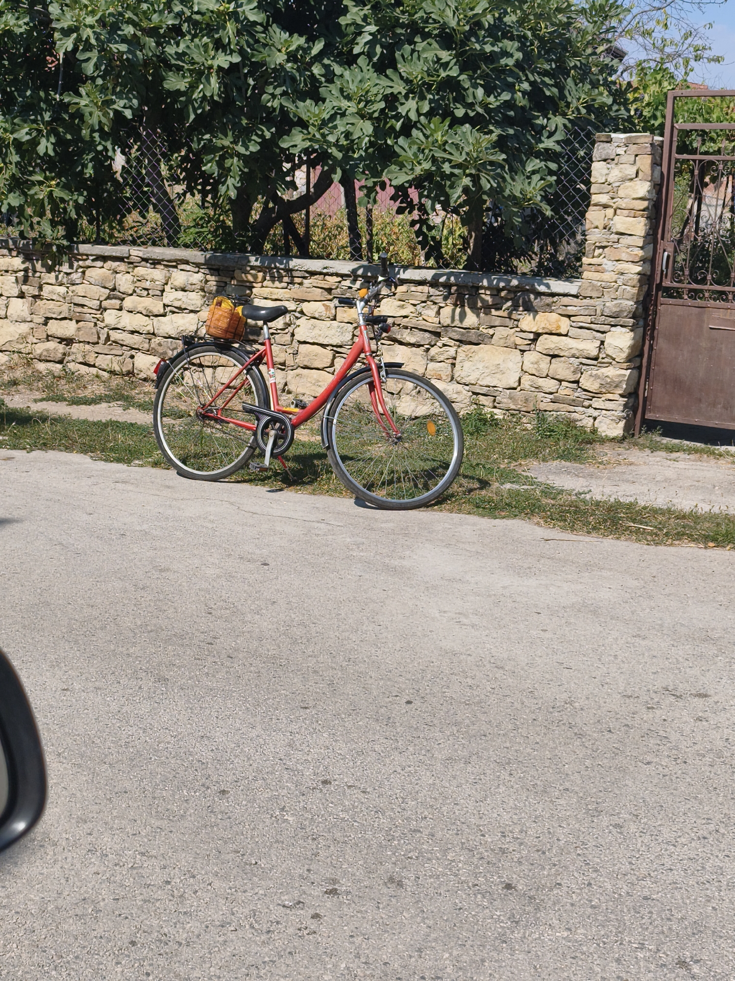 A red bicycle with a woven basket on the rear rack is parked on a paved surface next to a stone wall. The bicycle is facing right. Behind the wall, a fig tree with green leaves is visible, with a metal fence and a dark brown gate in the background. The scene appears to be outdoors, under a clear sky, likely in a residential area of Slatina, Bulgaria.