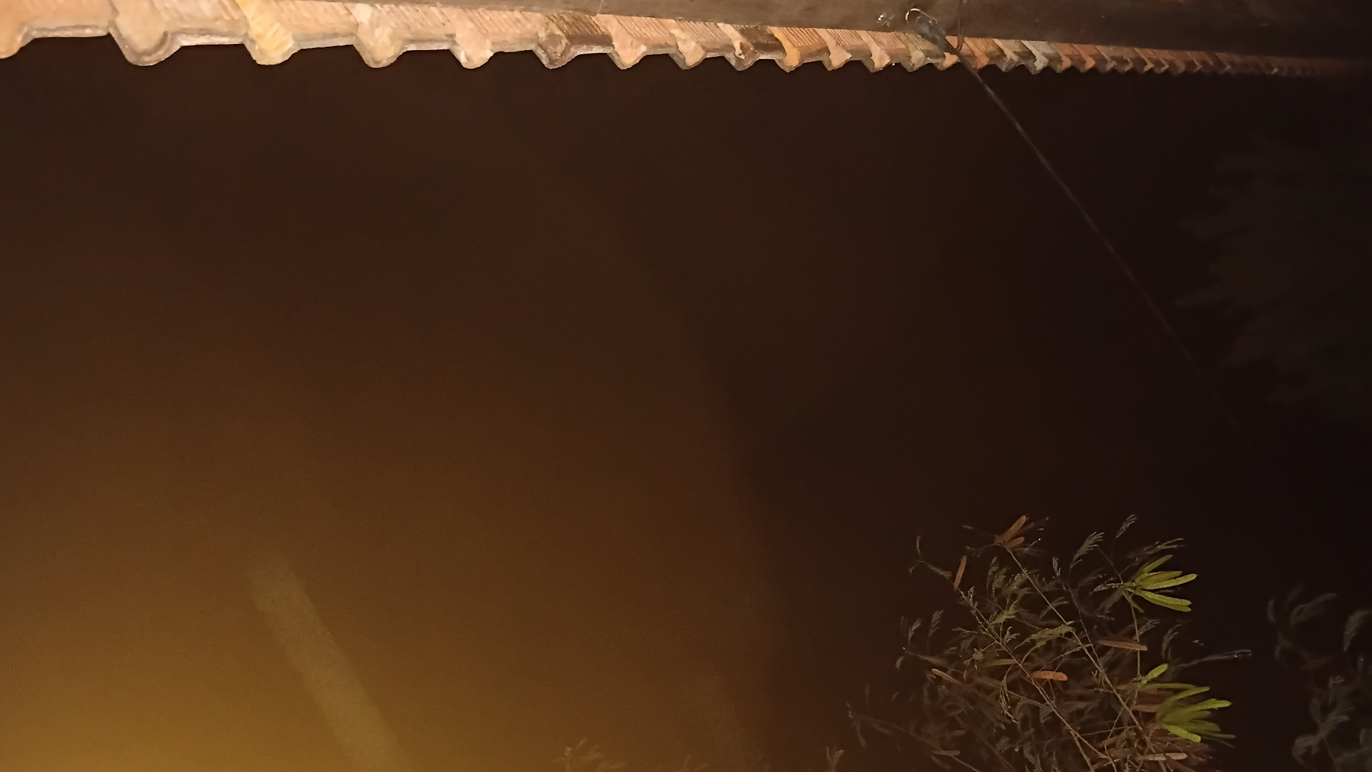 This is a nighttime, low-light, vertical-orientation photograph taken outdoors in Prabumulih, Indonesia. On the right side of the frame is the edge of a structure with a ridged, terracotta-colored roofing material, possibly tiles, extending vertically. A dark pole runs alongside this structure. A thin black wire extends diagonally from the upper right portion of the frame, down and to the left, disappearing into the darkness. In the lower left quadrant of the image, a branch with green and brown foliage is visible, appearing to be from a tree or shrub. The background is predominantly dark with a diffuse, soft glow or light source in the upper left quadrant, creating a hazy effect. The overall atmosphere is dim and somewhat obscured by the darkness and haze.