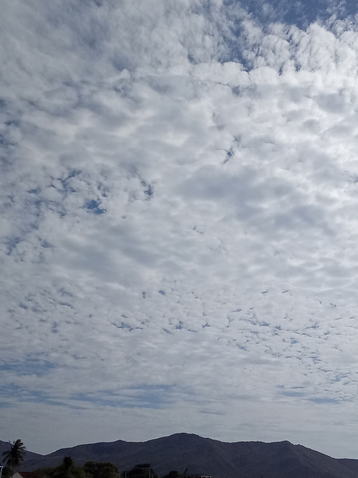 The image shows a sky filled with altocumulus clouds above the mountainous landscape of Juan Griego, Venezuela. At the base of the mountains, there are visible trees, buildings, and a palm tree to the left. The overall atmosphere suggests daylight conditions.