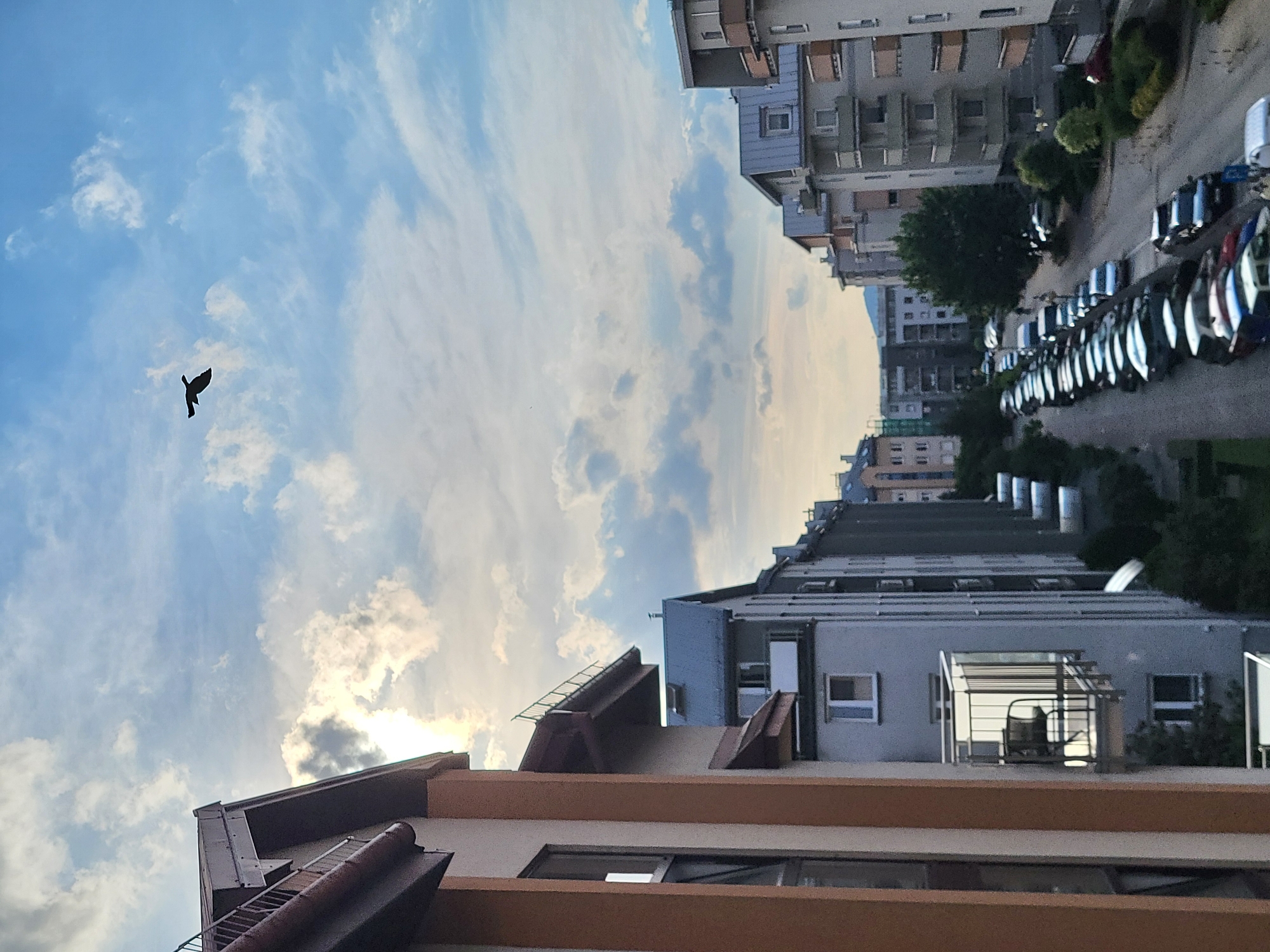 The image shows a cityscape under a partly cloudy sky. In the foreground are the rooftops of residential buildings with windows. Further out, multi-story apartment buildings line a street with parked cars. A bird is flying in the sky.