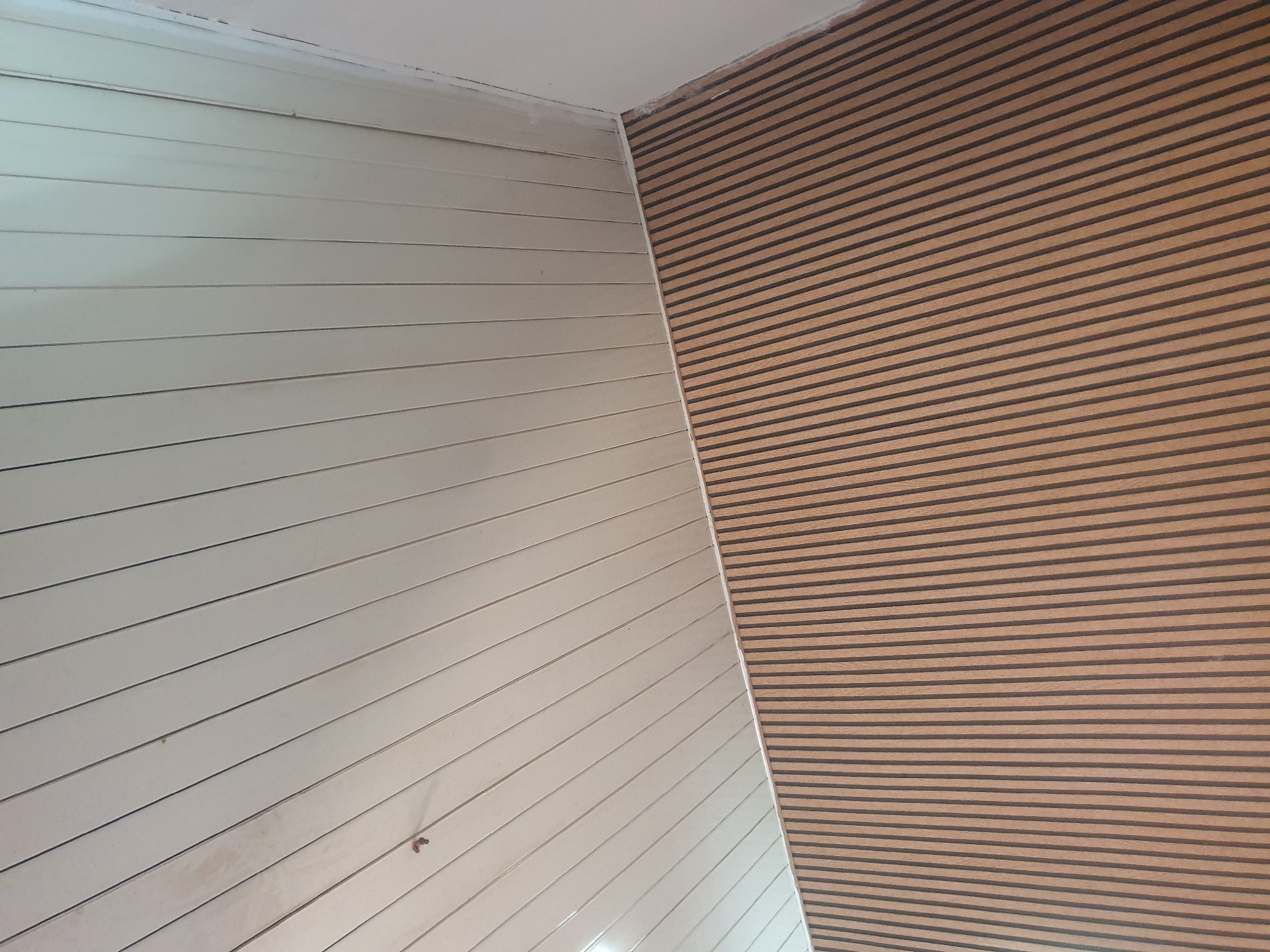 An interior shot captures a corner where a wood-paneled wall meets a white paneled ceiling. The wall is covered in vertical wooden slats with dark brown lines separating them. The ceiling is made of white panels, running diagonally from the bottom left to the top right of the image. A small, reddish-brown object is visible on the ceiling panel in the upper left quadrant. The scene appears to be in an indoor space.