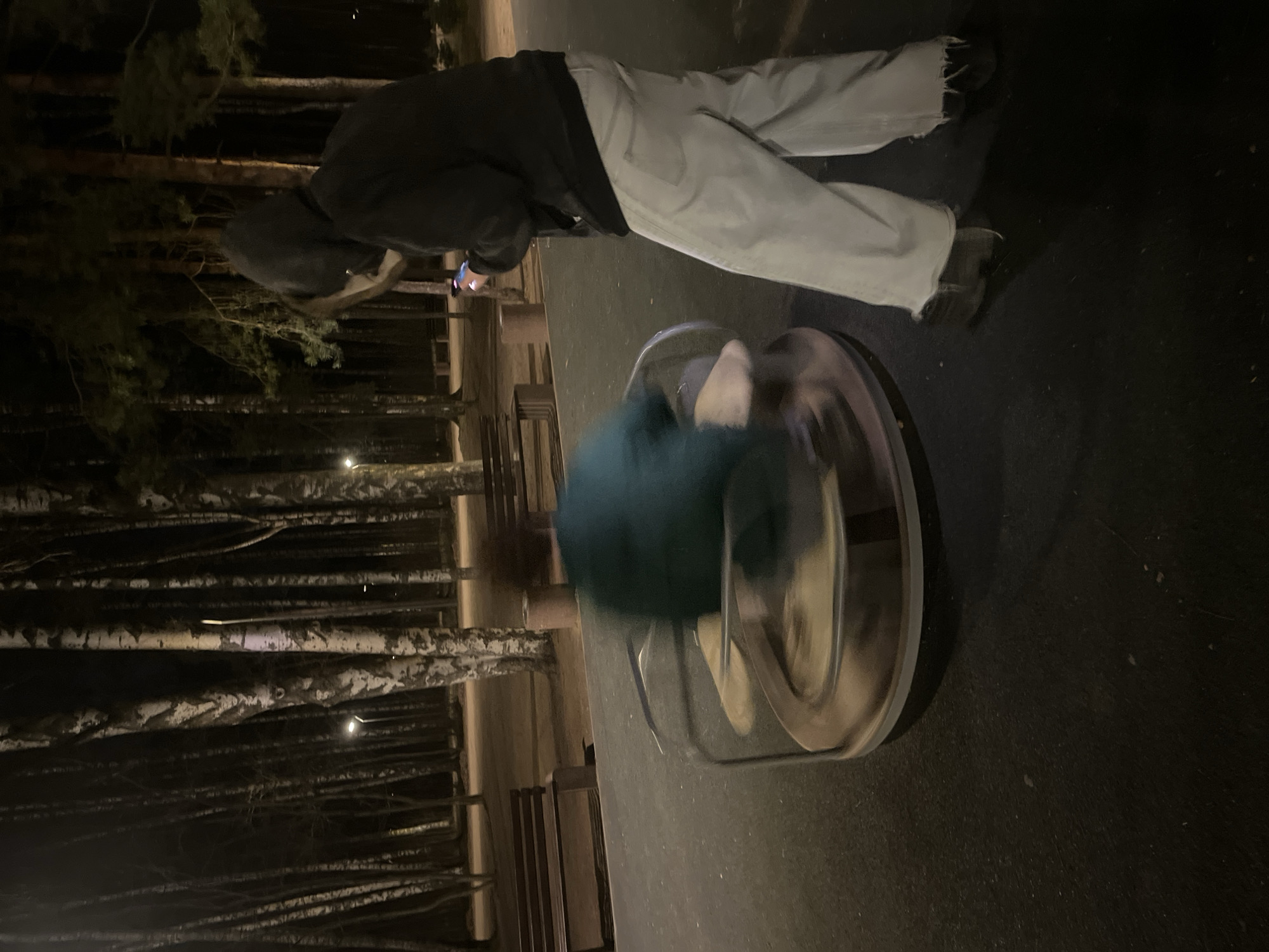 A hooded person in light-colored jeans stands near a spinning amusement ride containing another person. The setting appears to be outdoors at night, possibly in a wooded area, as suggested by the visible birch trees in the background. The location is likely in Saint Petersburg, Russia, given the presence of birch trees commonly found in the region. The standing person is seemingly using a phone, while the spinning person is blurred due to the motion of the ride.
