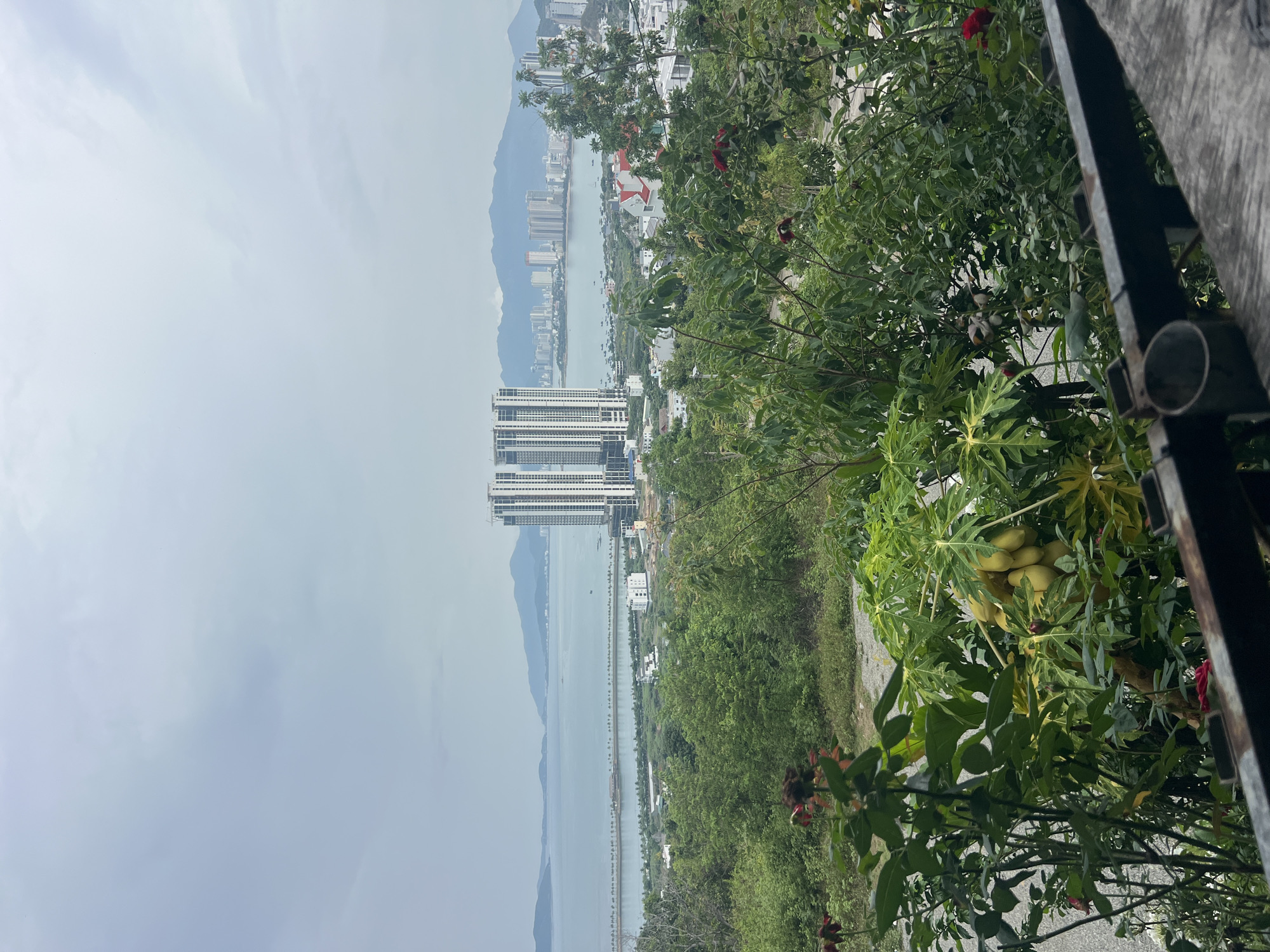 The image depicts a hazy, elevated view overlooking Bac Nha Trang Ward, Vietnam. A tall, modern skyscraper complex dominates the midground, situated along a body of water that extends into the distance, flanked by mountains. The foreground features lush green vegetation, including a papaya tree laden with unripe fruit and red flowering plants, partially obscured by a metal railing. The sky is overcast, contributing to the overall lack of clarity in the image.