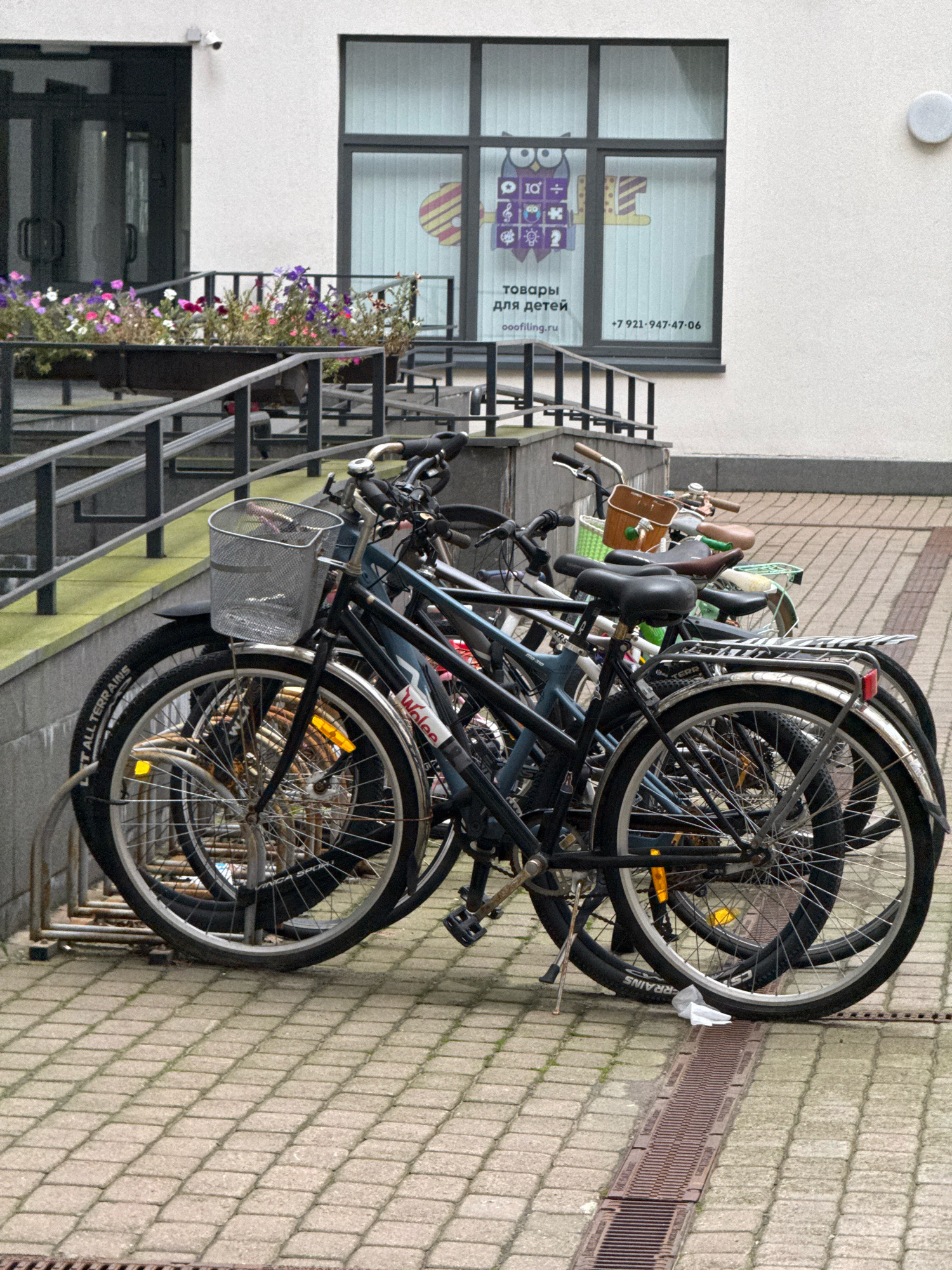 The image depicts a row of parked bicycles in front of a modern building. The bicycles are arranged in a bike rack. The building has a white facade with large windows. One window displays graphics related to children's items and includes text in Russian: "товары для детей" (goods for children) and a phone number, "+7 921-947-47-06", and a website, "ooofiling.ru". In front of the building, there is a planter box with flowers. The ground is paved with brick-like tiles. A drain grate is visible in the foreground. The scene appears to be an outdoor urban setting. The location is likely Saint Petersburg, Russia, given the Cyrillic text on the window. There are no people visible in the image. The overall lighting suggests an overcast day.