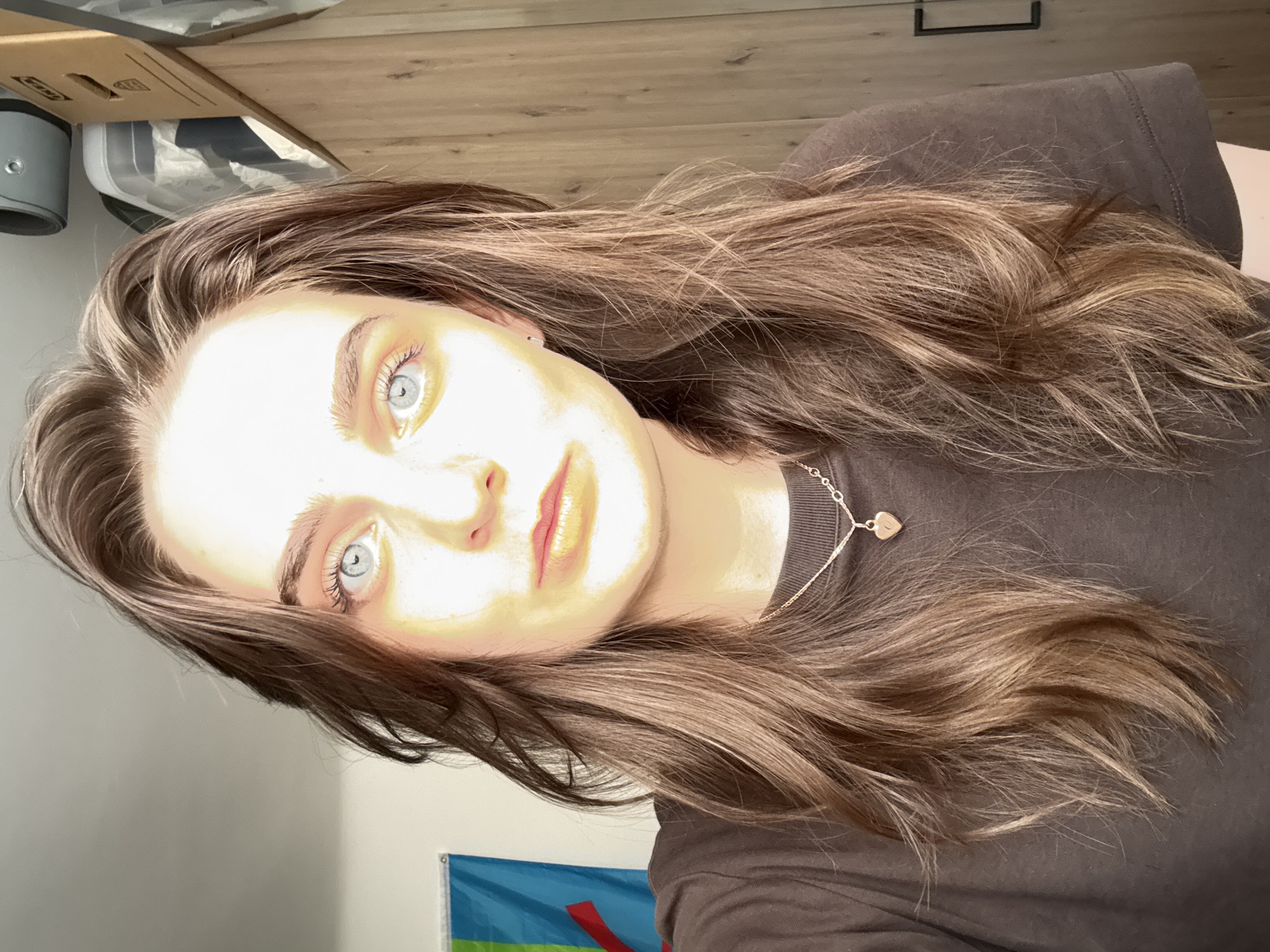 A brightly lit portrait of a young individual is presented, rotated 90 degrees clockwise, showing them looking directly at the camera. The person has long, wavy brown hair that frames their face and extends down their chest. Their most striking features are their clear, light blue eyes. They have light-toned skin, illuminated by what appears to be natural light, giving a slightly warm glow to their complexion. A neutral to serene expression is visible on their face.
The person is wearing a dark grey or black top, possibly a t-shirt or a hooded sweatshirt. A delicate silver chain necklace with a small heart-shaped pendant rests on their collarbone.
The background indicates an indoor setting. On the left side of the image (which would be the top if rotated correctly), a brown cardboard box with the "IKEA" logo, a grey cylindrical container, and a clear plastic storage box containing various items are visible. To the right (bottom when rotated), a wooden surface, possibly a desk or shelf, and a dark, rectangular handle on a piece of furniture can be seen. In the lower left corner of the image (right when rotated), a flag with horizontal stripes of blue, green, and yellow, adorned with a red symbol, is partially visible. The overall scene suggests a casual, personal setting, possibly a bedroom or home office in Hainburg an der Donau, Austria. The bright lighting suggests it is daytime.