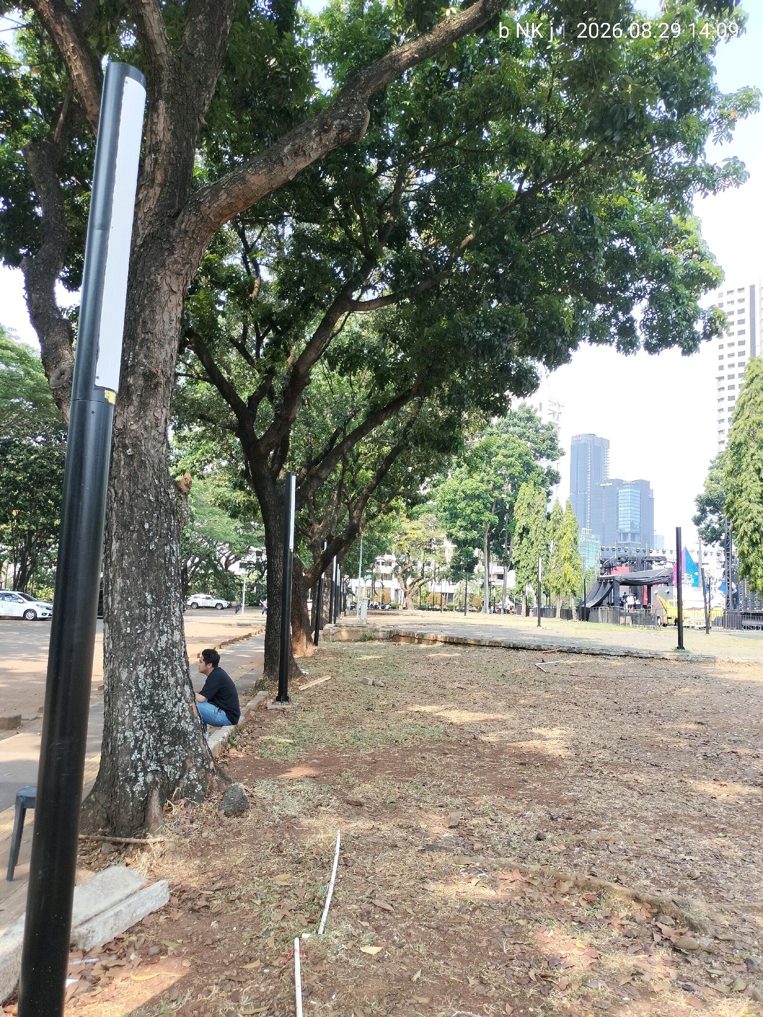 The image captures a street-side park in Central Jakarta, Indonesia, on August 29, 2026, at 2:09 PM. The foreground features a large tree with textured bark and a black lamppost with a white panel to its left. A young man in a black t-shirt and blue jeans is seated on a concrete curb beside the tree, looking away from the camera. Beyond the man and the tree, a row of lampposts lines a paved walkway, which runs alongside a street with cars. In the middle ground, a cleared area of dry grass and leaves is visible, with a stage set up in the distance, suggesting an event or performance is underway or being prepared. Various trees and buildings, including modern high-rises, are scattered throughout the scene, indicating an urban environment. The overall atmosphere is bright and sunny, with the presence of mature trees suggesting a well-established park.
