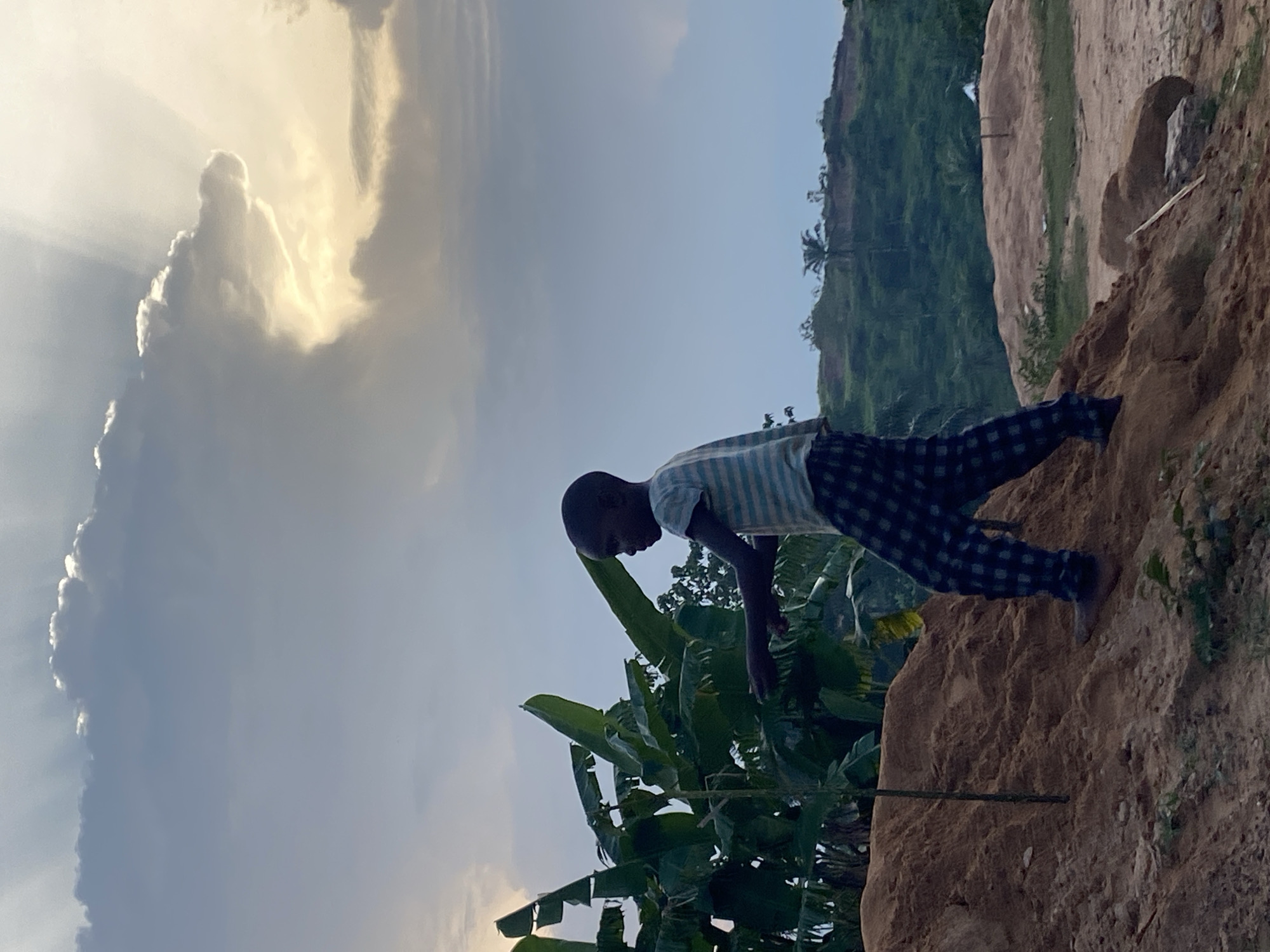 In Ogbu, Nigeria, a person stands on a mound of reddish-brown soil, appearing to lean over the edge. The person wears a striped shirt and checkered pants. Lush green banana plants surround the mound. In the background, a verdant hillside rises under a partly cloudy sky. A bright, cloud formation occupies a significant portion of the sky.