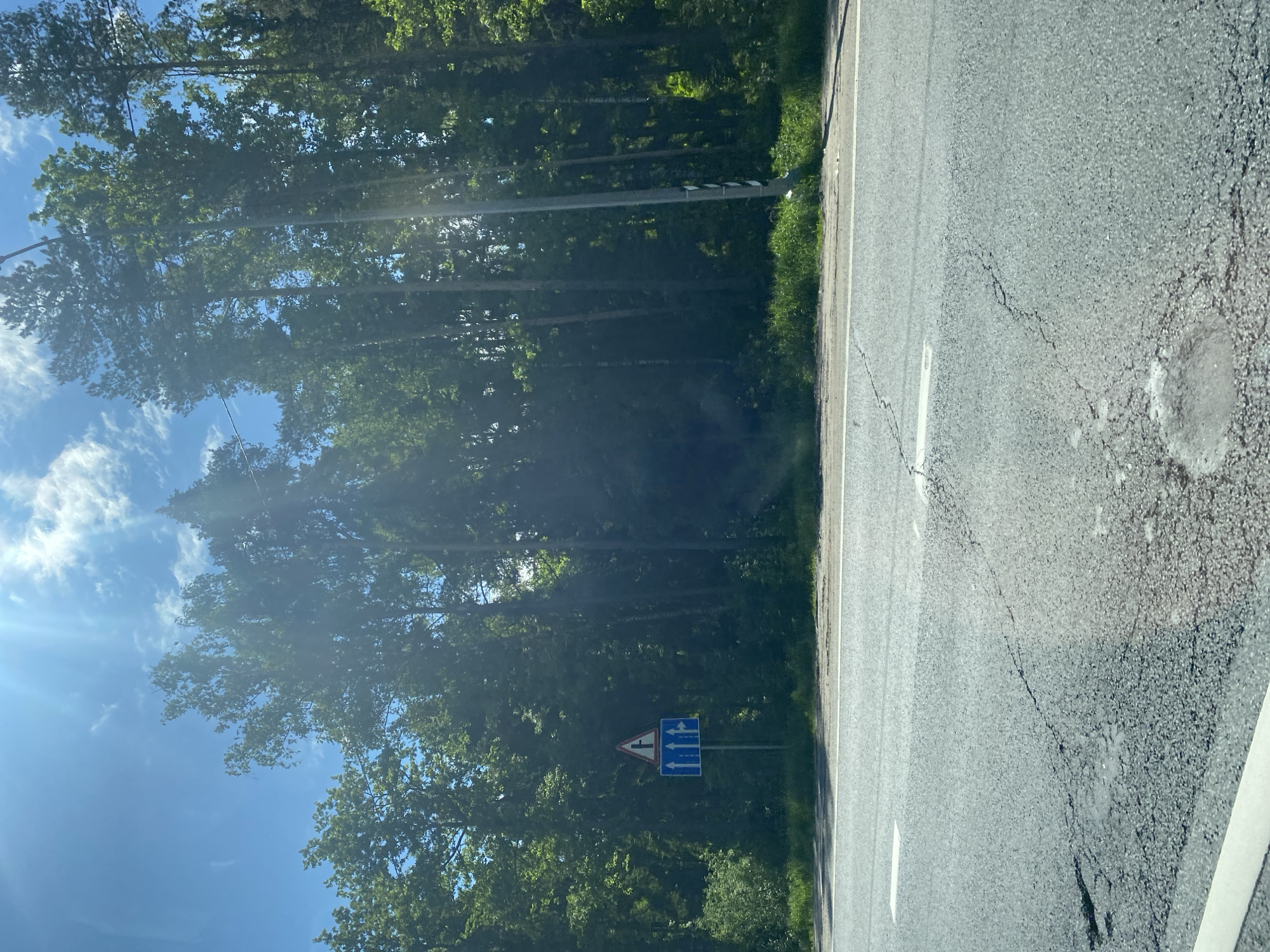 The image shows a rural road in Dol "Luch", Russia. On the right is a damaged asphalt road surface with white lane markings. To the left of the road is a grassy verge and a dense forest. A road sign indicating a side road on the left and various lane options ahead is visible. The sky is blue with scattered clouds. The overall scene is a roadside view in a forested area on a sunny day.