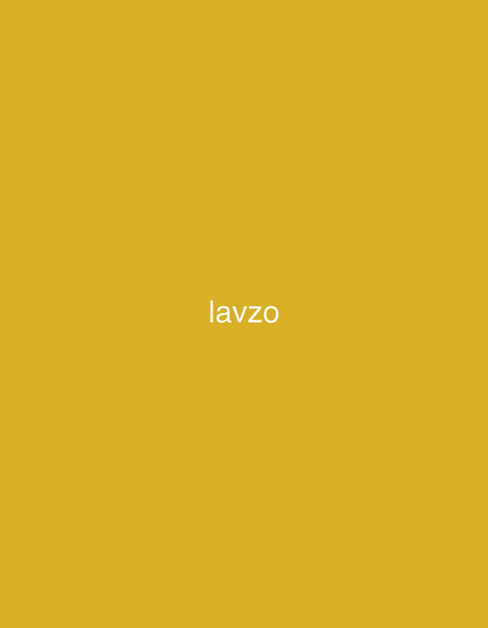 The image presents a minimalist graphic consisting of a solid, uniform mustard yellow background. Horizontally centered on this background is the word "lavzo" rendered in white, lowercase, sans-serif typeface. No other elements, such as people, distinct objects beyond the textual element, actions, or interactions, are depicted. The environment is entirely abstract, comprising only the colored plane and the text. There are no visual indicators or contextual clues within the image to suggest a specific geographical location, including the city of Casablanca, Morocco, or any other urban or natural setting.