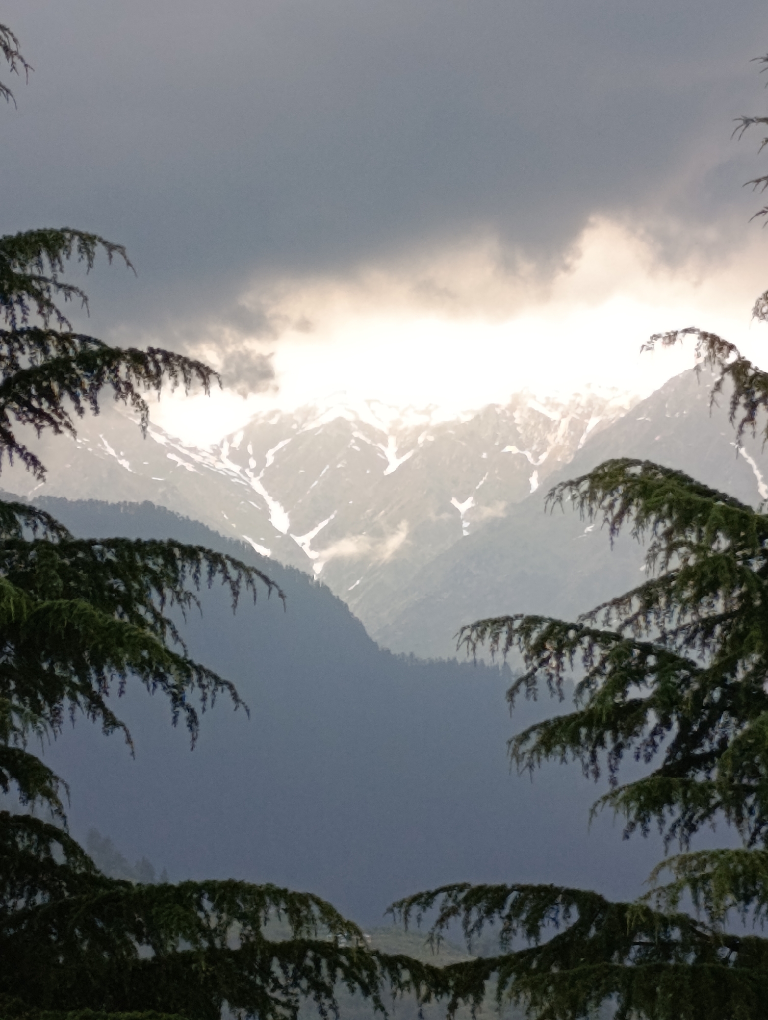 The image presents a dramatic mountain landscape framed by dense evergreen trees. In the foreground, dark green branches of coniferous trees, likely cedars, extend from the left, right, and bottom, creating a natural window to the scene.
Beyond the trees, majestic mountains rise into an overcast sky. The lower and mid-slopes are covered in dense vegetation, appearing in shades of blue-grey due to atmospheric distance. The rugged peaks in the background are prominently snow-capped, with stark white patches and streaks of snow contrasting against the darker rock formations.
The sky is largely dominated by heavy, dark grey clouds, particularly in the upper left. However, a brilliant and intense light source, likely the sun, breaks through a clearing in these clouds, illuminating the snow-covered mountain tops directly. This creates a luminous halo effect around the peaks and a strong contrast between the bright, highlighted mountains and the darker surrounding clouds and foreground.
The scene captures a powerful natural moment, possibly a dramatic sunrise or sunset, or a brief clearing in a cloudy day, emphasizing the grandeur and scale of the mountains. The setting suggests a remote, natural environment, consistent with the location context of Naggar, India. There are no visible people, human activity, or text.