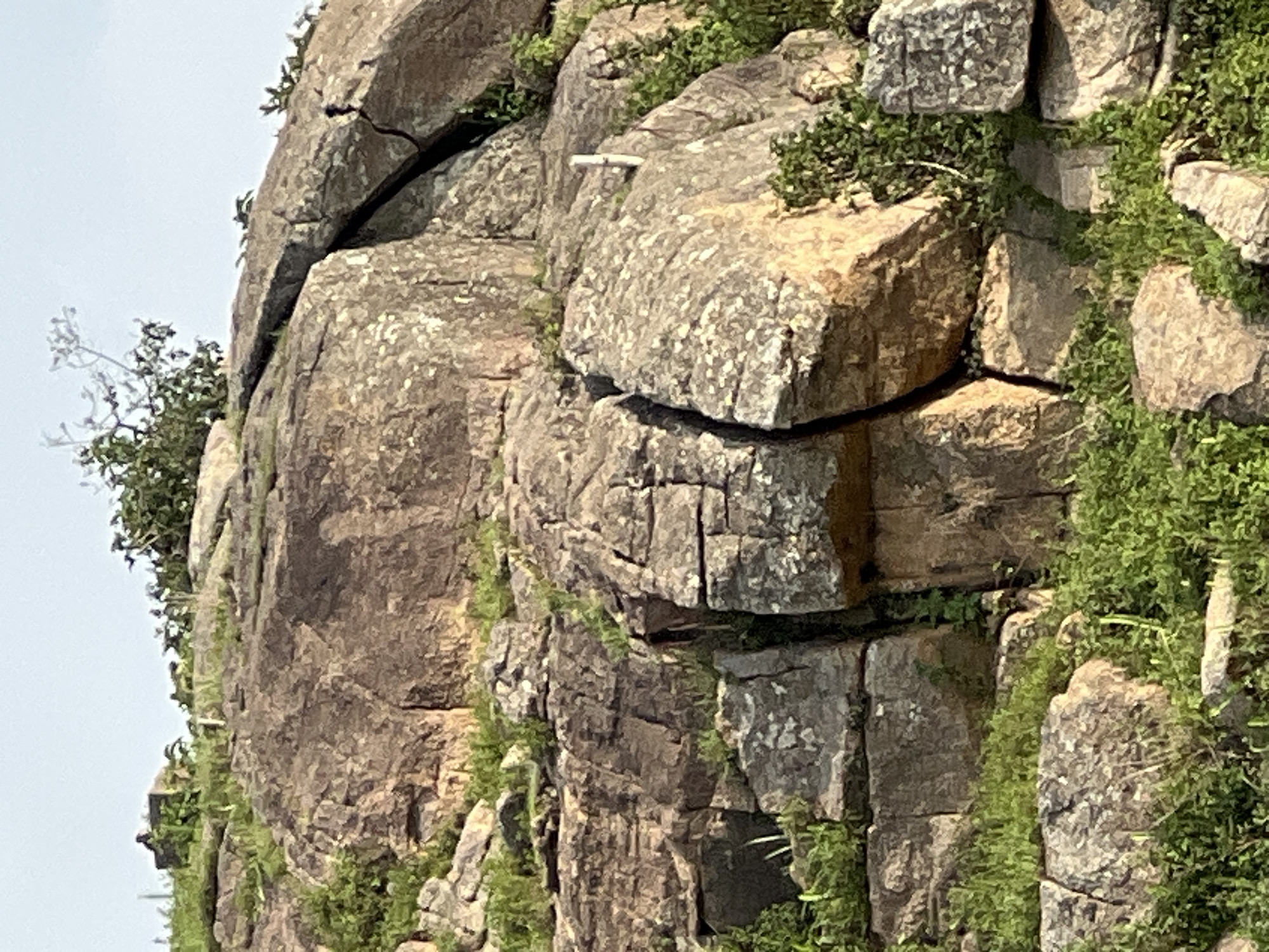 The image depicts a rocky outcrop overgrown with lush green vegetation. Large, textured boulders dominate the foreground, with visible cracks and fissures suggesting geological activity. The rocks vary in color, ranging from earthy browns and grays to lighter, lichen-covered patches. Small shrubs and grasses sprout from crevices and at the base of the rocks, creating a vibrant contrast with the stone. The sky above is a pale, hazy blue, indicating a daytime scene. The overall impression is one of a natural, untamed landscape. While the image contains no explicit indicators of people, it is important to note that the prompt requests inclusion of the location in Rafin Par, Nigeria. However, without any visual evidence within the image itself to confirm this specific location, it is not possible to provide such details based solely on the visual information presented.