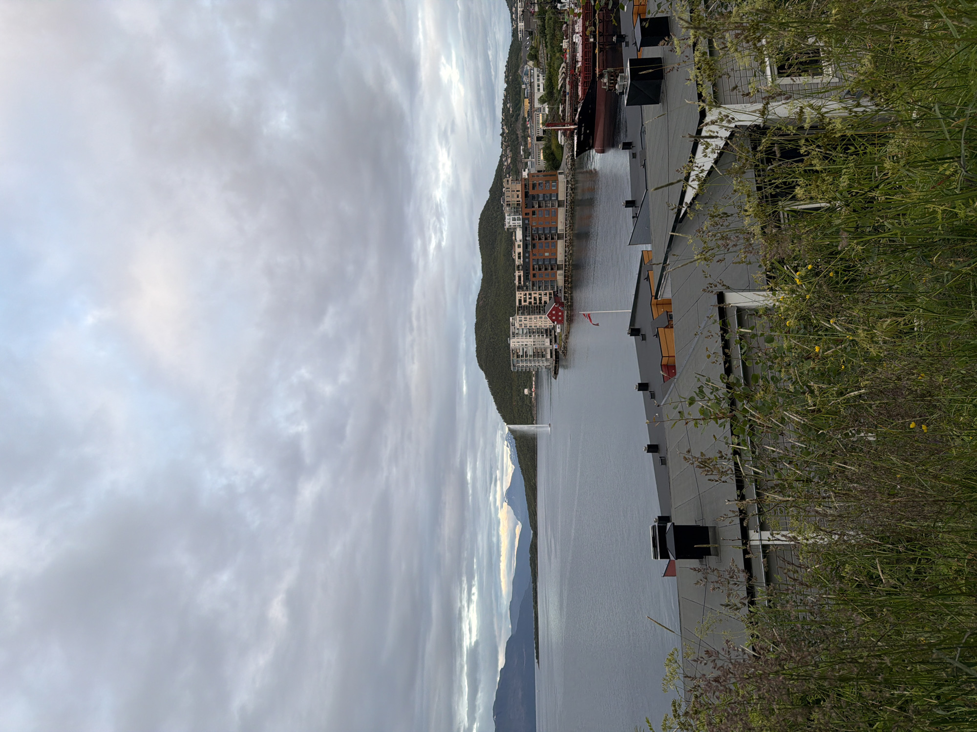 A wide-angle, eye-level shot captures a serene coastal city scene in Harstad, Norway, under an overcast sky. In the foreground, tall, green grasses and wildflowers obscure a row of low-rise buildings with dark, sloped roofs and visible chimneys. The middle ground reveals the calm, dark waters of a harbor where a large cargo ship with a red hull and superstructure is docked. A red and white Norwegian flag flies from a pole near a cluster of modern, multi-story apartment buildings lining the waterfront. Further in the distance, a majestic mountain range with snow-capped peaks forms a dramatic backdrop to the city. A tall, powerful fountain sprays a plume of white water into the sea, adding a dynamic element to the tranquil landscape. The overall atmosphere is one of quiet, natural beauty integrated with urban development.