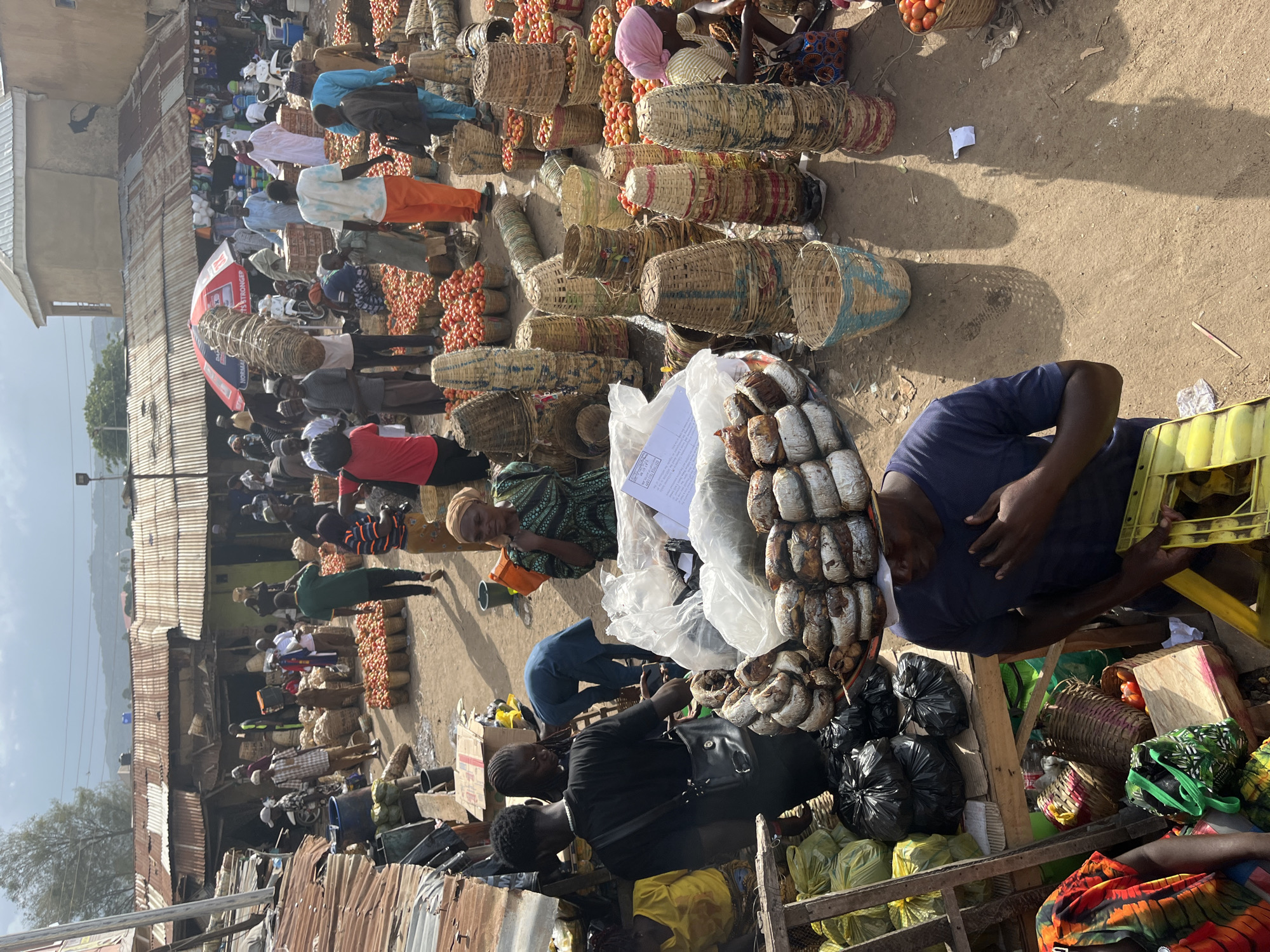 This is a wide shot of an outdoor marketplace in Rafin Par, Nigeria, likely in the morning or late afternoon given the shadows. The scene is filled with people and goods for sale, primarily produce. The ground is dirt, and the market stalls are constructed from corrugated metal and wood.
In the foreground, a man wearing a blue t-shirt is looking down, his right hand on his chest. He has a large tray of dried fish balanced on his head. To his left, a woman in a vibrantly colored dress is visible from the waist up, looking to her left. Next to her, to the left, are piles of yellow plastic bags filled with produce and black trash bags.
The middle ground of the image is dominated by an abundance of tomatoes, predominantly packed in large woven baskets. Several people are seen tending to these goods, arranging them or interacting with customers. A woman in a green and black patterned dress with a headscarf is visible on the right side of the midground, looking towards the left.
Further into the background, more market stalls are visible, some with corrugated metal roofs and others with more permanent structures. There are various other goods for sale, including what appears to be clothing and household items. A red and white umbrella provides shade over one of the stalls. The sky is partly cloudy, and in the distance, hills can be seen. The overall impression is one of a bustling and active local market.