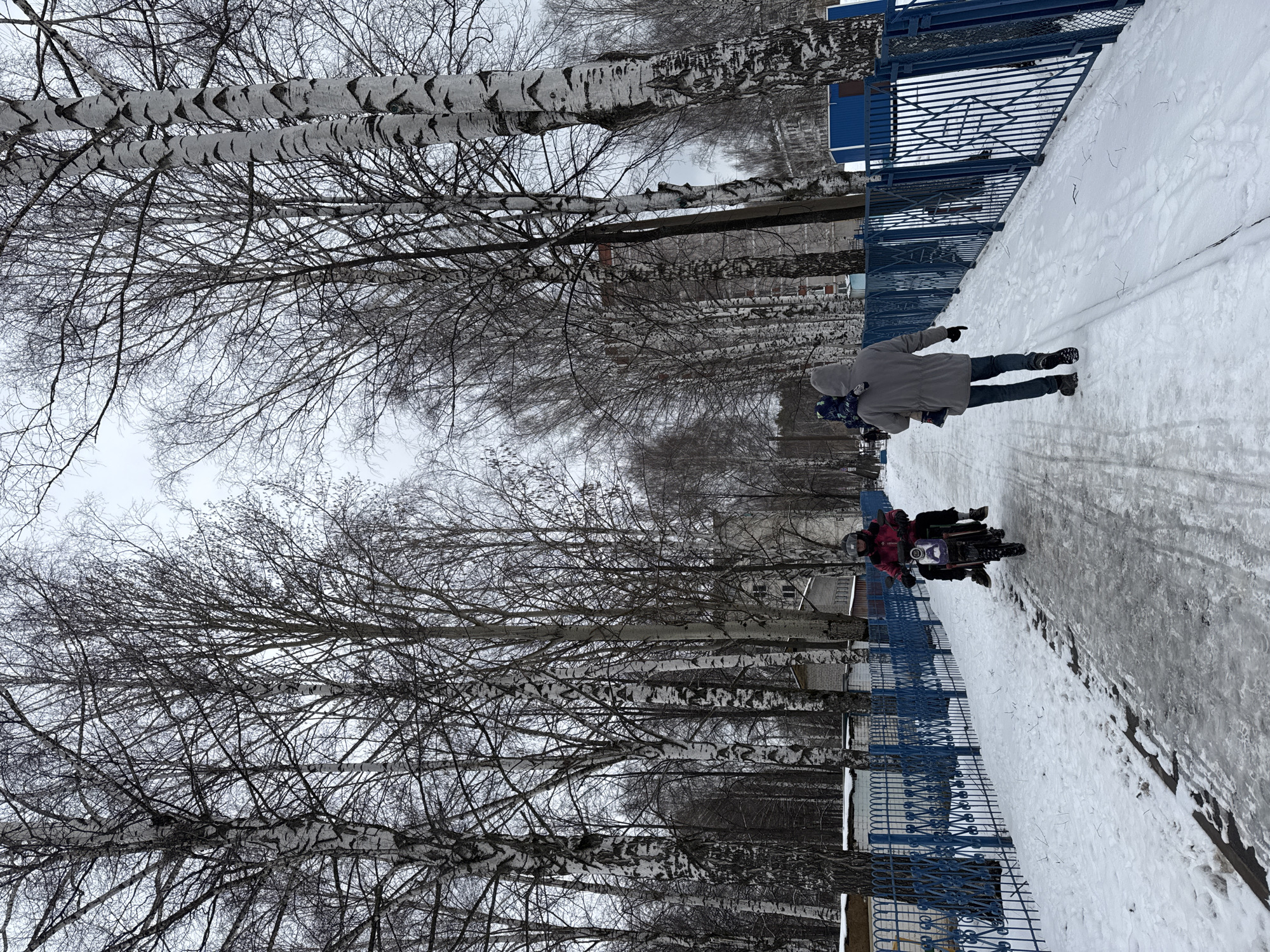 A winter scene in Izhevsk, Russia, features a snow-covered walkway adjacent to a blue metal fence. A row of birch trees lines the opposite side of the walkway. Two individuals, one driving a motorcycle, are present on the walkway. Another adult is walking along the walkway. The sky is overcast.