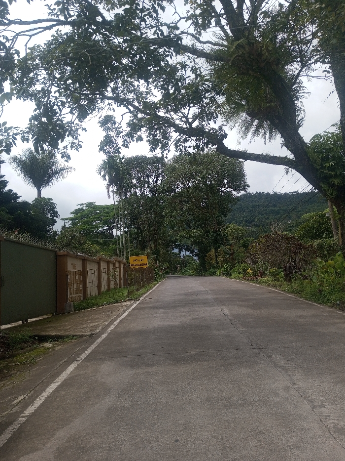 The image depicts a concrete road in Sarwahi Mal., India, extending into a forested area under an overcast sky. The road, devoid of traffic, features a white line marking its left edge and curves slightly right in the distance. To the left, a light-brown wall with recessed panels and a green metal fence topped with barbed wire runs parallel to the road, featuring a solid green gate in the foreground. A yellow sign displaying "FRT-PAT / LACHHIREGARH" is visible beyond the gate, affixed to a pole. The right side of the road is bordered by dense, lush vegetation, including large trees, shrubs, and undergrowth, with epiphytic ferns visible on some tree branches. A verdant, forested hillside forms the backdrop in the distance. No individuals or animals are present.