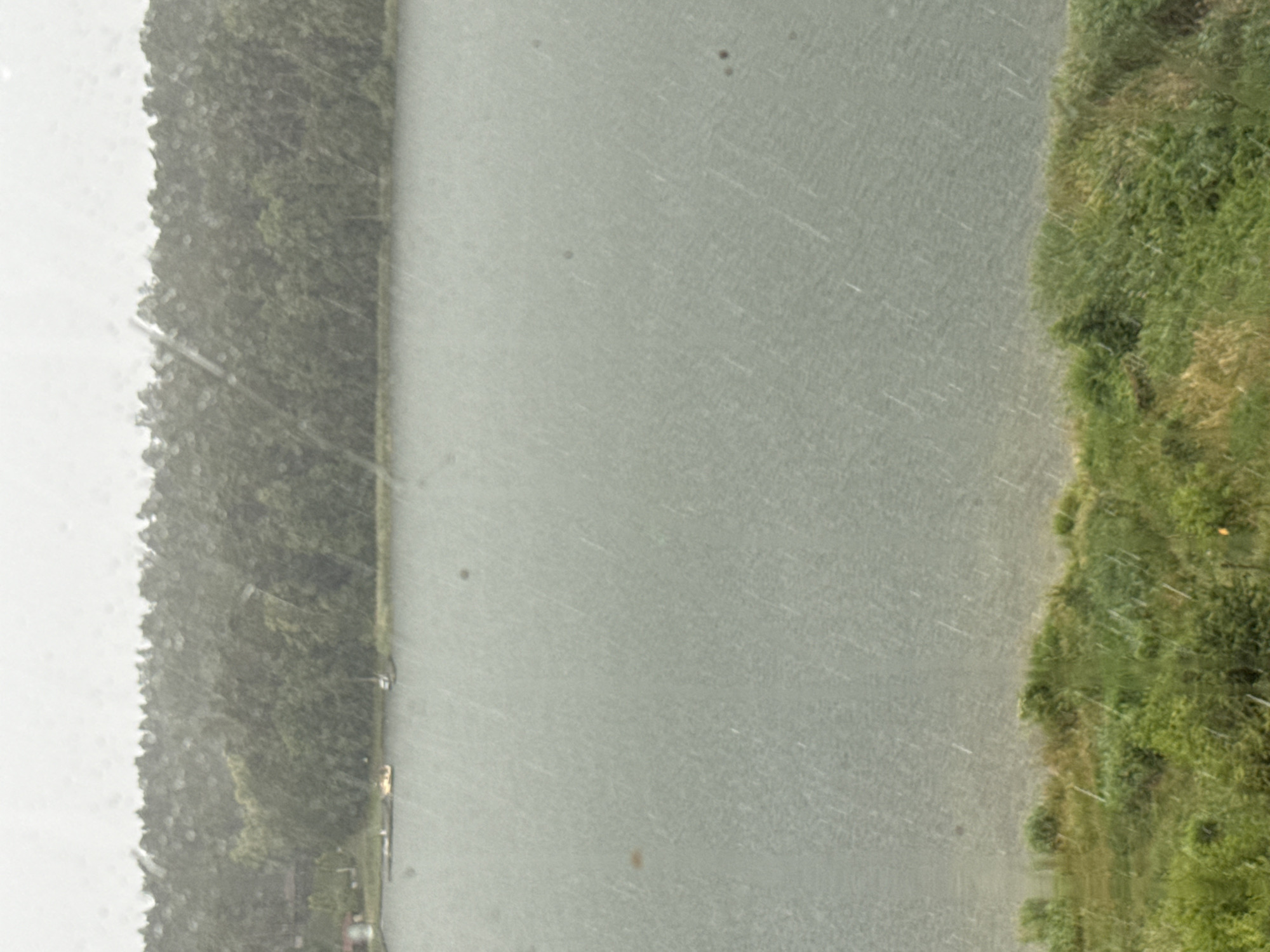 The media file depicts a slightly blurry, overcast scene of a body of water, possibly a lake or river, with vegetation lining the right bank. The water's surface is disturbed by falling rain, indicated by numerous streaks across the image. On the left side, a dense line of trees forms a dark green border. The right bank is covered in lush green foliage, with some areas appearing drier and lighter in color.
The image suggests a natural setting, likely outdoors. The presence of rain indicates inclement weather, and the overcast sky implies it is daytime, though specific time is not discernible. There are no people or prominent objects visible in the main portion of the scene. However, along the edge of the water, near the trees on the left, a few small, dark shapes might represent boats or structures, but they are too indistinct to be certain. The overall mood is subdued, likely due to the rain and overcast conditions.
No text is visible in the image. The context provided places this scene in Mikołajki, Poland, suggesting it could be a view of one of the many lakes in the Masurian region.
