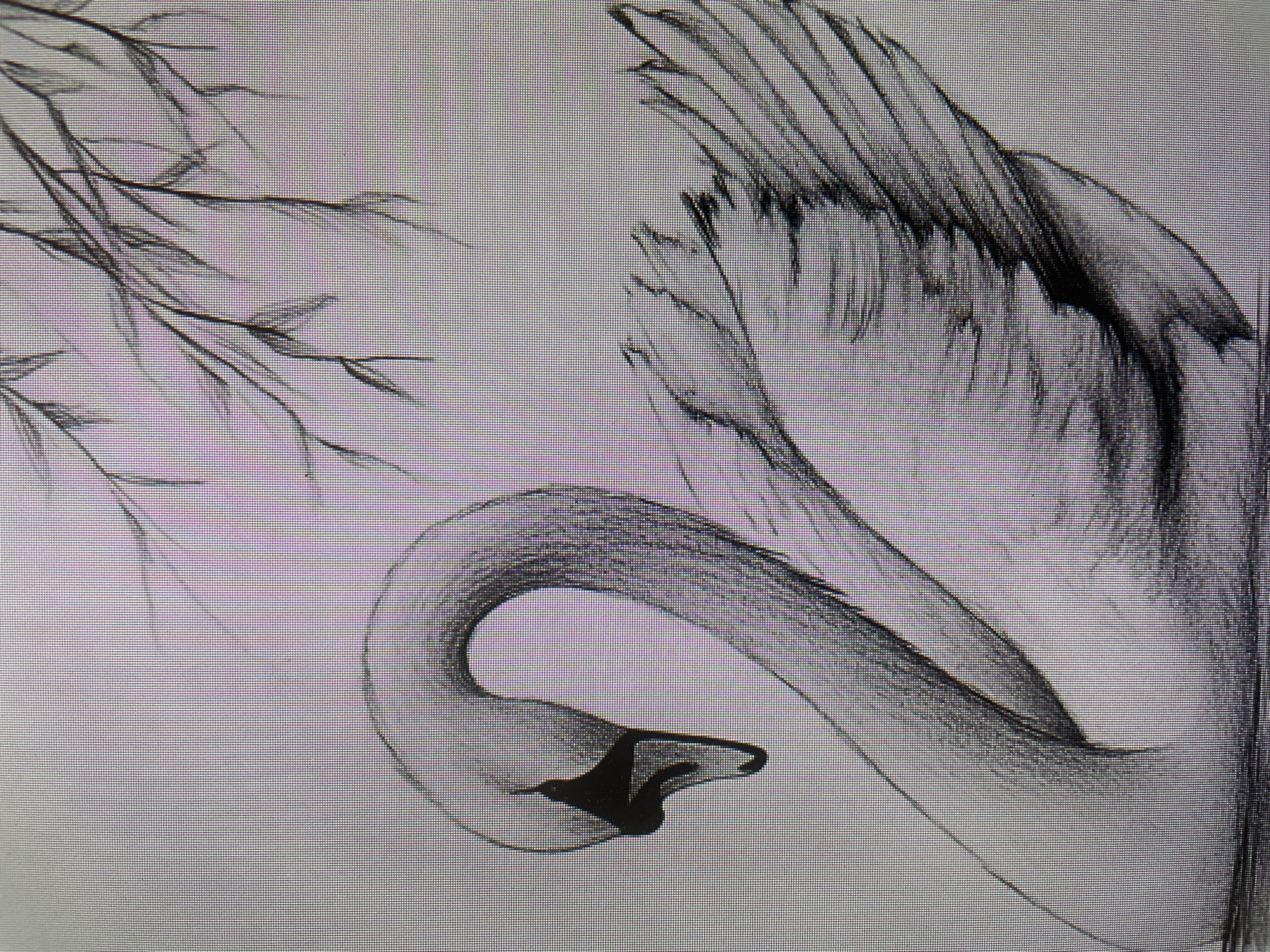 The media file presents a monochromatic drawing, likely a pencil or charcoal sketch, depicting a swan amidst natural elements. The central subject is a swan, rendered with a long, elegantly curved neck that forms a prominent "S" shape, leading to its head which points towards the lower-center. The swan's beak area is a solid dark tone, while its neck and body are shaded with varying degrees of grey, showcasing a soft texture.
A large, detailed wing of the swan extends upwards and to the right, characterized by distinct, feathery strokes that create volume and movement. In the upper left portion of the image, thin, dark lines suggest branches or weeping foliage, providing a natural framing element for the composition. The background is otherwise plain, allowing the swan to stand out.
The drawing style is illustrative and expressive, with a clear hand-drawn quality. The overall image is overlaid with a distinct grid pattern, suggesting it is a photograph of a digital display or a printed output, rather than the original artwork directly. The scene evokes a sense of grace and tranquility. There are no people, explicit activities beyond the static portrayal of the swan, or visible text within the image. No specific time of day or weather conditions are discernible from the drawing.