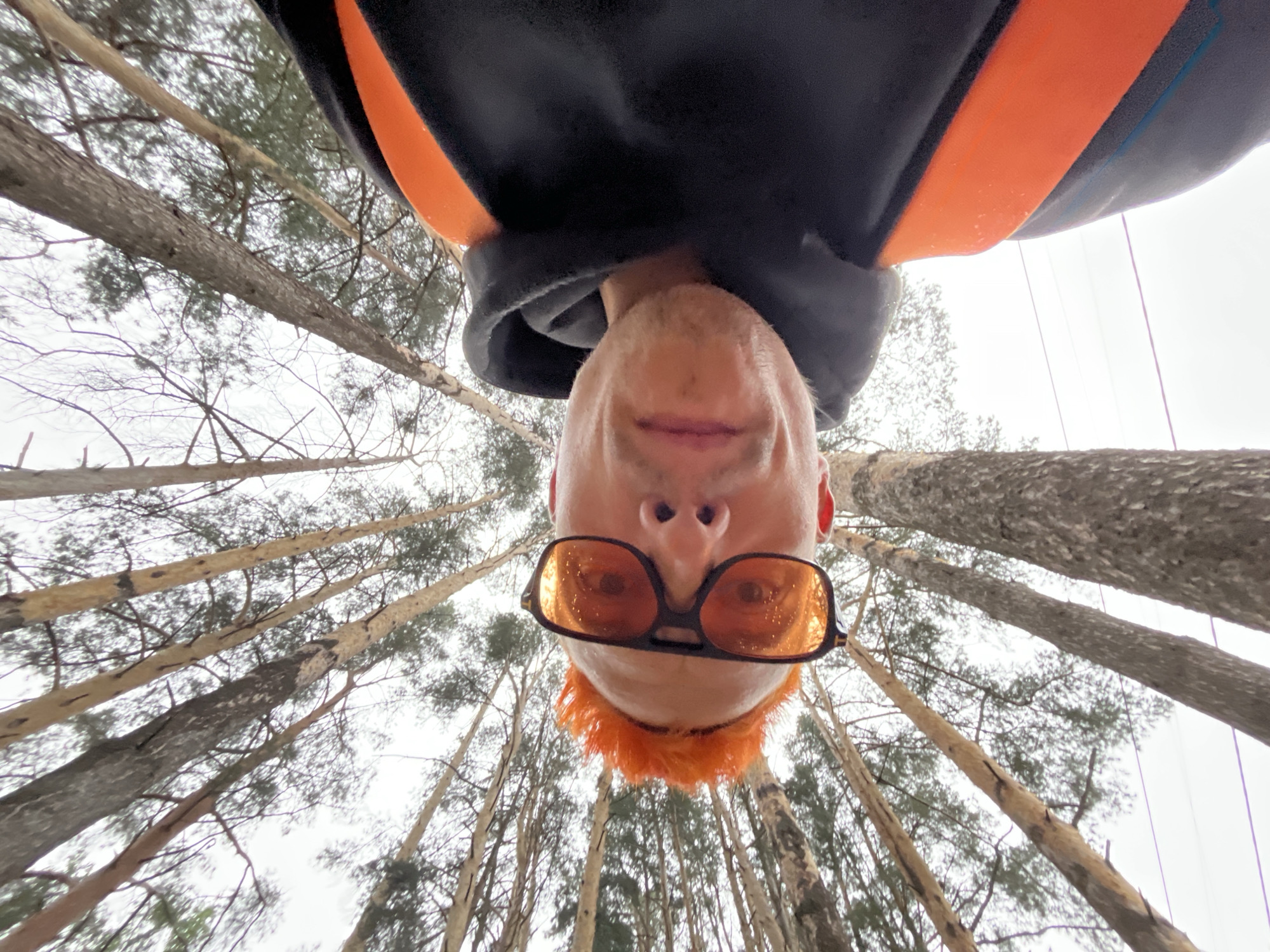 A low-angle, upside-down close-up shot of a person wearing black-framed, orange-tinted sunglasses is set against a backdrop of tall, slender trees. The person has short, orange hair or a wig. The person's head is centered in the frame, with trees receding into the distance above and below the person's face. The individual is wearing a black hoodie or jacket with a broad orange stripe across the shoulder. The setting appears to be a forest in an overcast or cloudy environment. Based on information, the photo was taken in Chaikovsky, Russia.