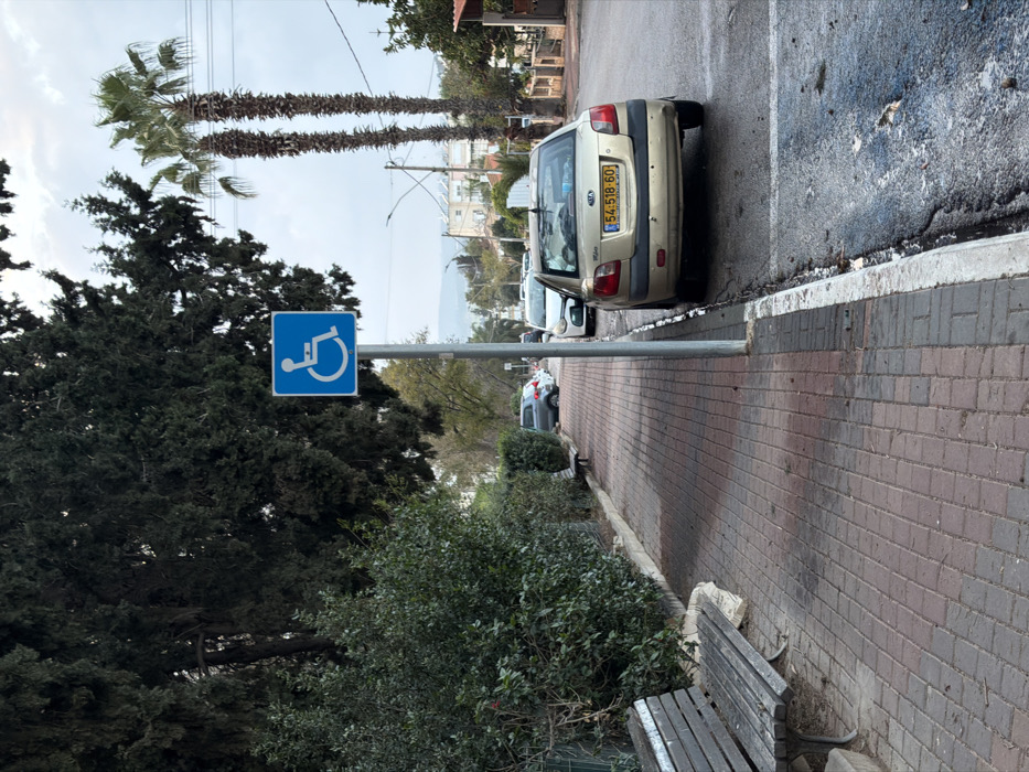This image depicts an outdoor street scene in Migdal HaEmeq, Israel, under an overcast sky. In the foreground, a weathered wooden park bench with metal supports is situated on a red and grey brick sidewalk. The sidewalk extends into the midground, bordered by a dense green hedge on the left and a street on the right. A blue square sign featuring the international white wheelchair symbol is mounted on a metal pole positioned at the edge of the sidewalk, adjacent to the street.
To the right of the sign, a light gold/beige Kia Rio sedan, bearing Israeli license plate "54-518-60," is parked parallel to the curb on a damp asphalt street. Items are visible through the vehicle's rear window. Further down the street, additional parked vehicles include a white sedan and a grey SUV.
In the background, tall, dark green conifer trees line the left side, while two tall, slender palm trees are prominent on the right. Utility poles and power lines are also visible. Distant residential buildings and hills are visible under the cloudy sky. No individuals are present in the scene.