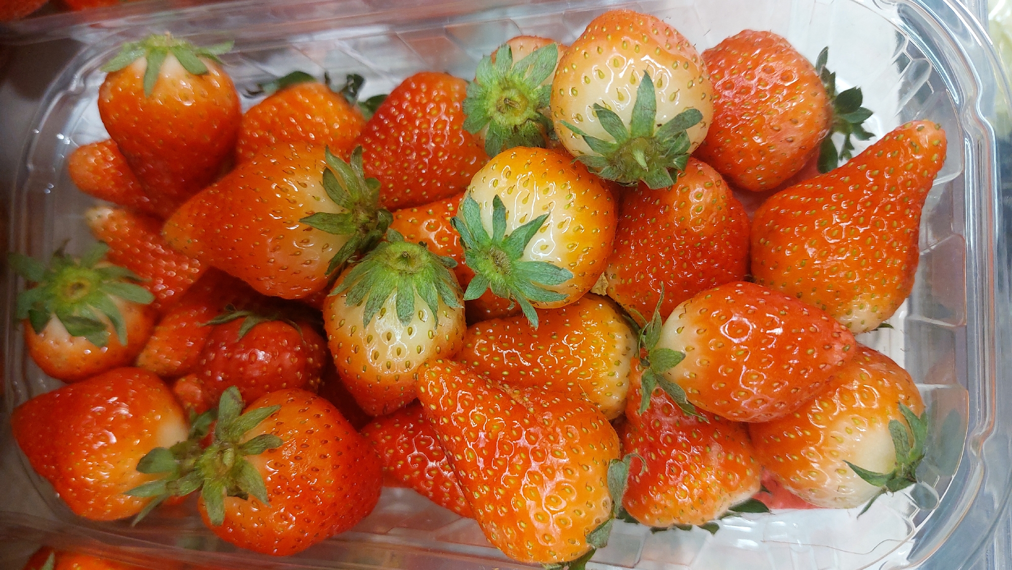 A close-up shot of a clear plastic container filled with orange strawberries is depicted. The strawberries vary in color, from white to orange, and size. They have green leafy stems. The container's edge is visible on the right side. The image does not depict any information regarding Novosibirsk, Russia.