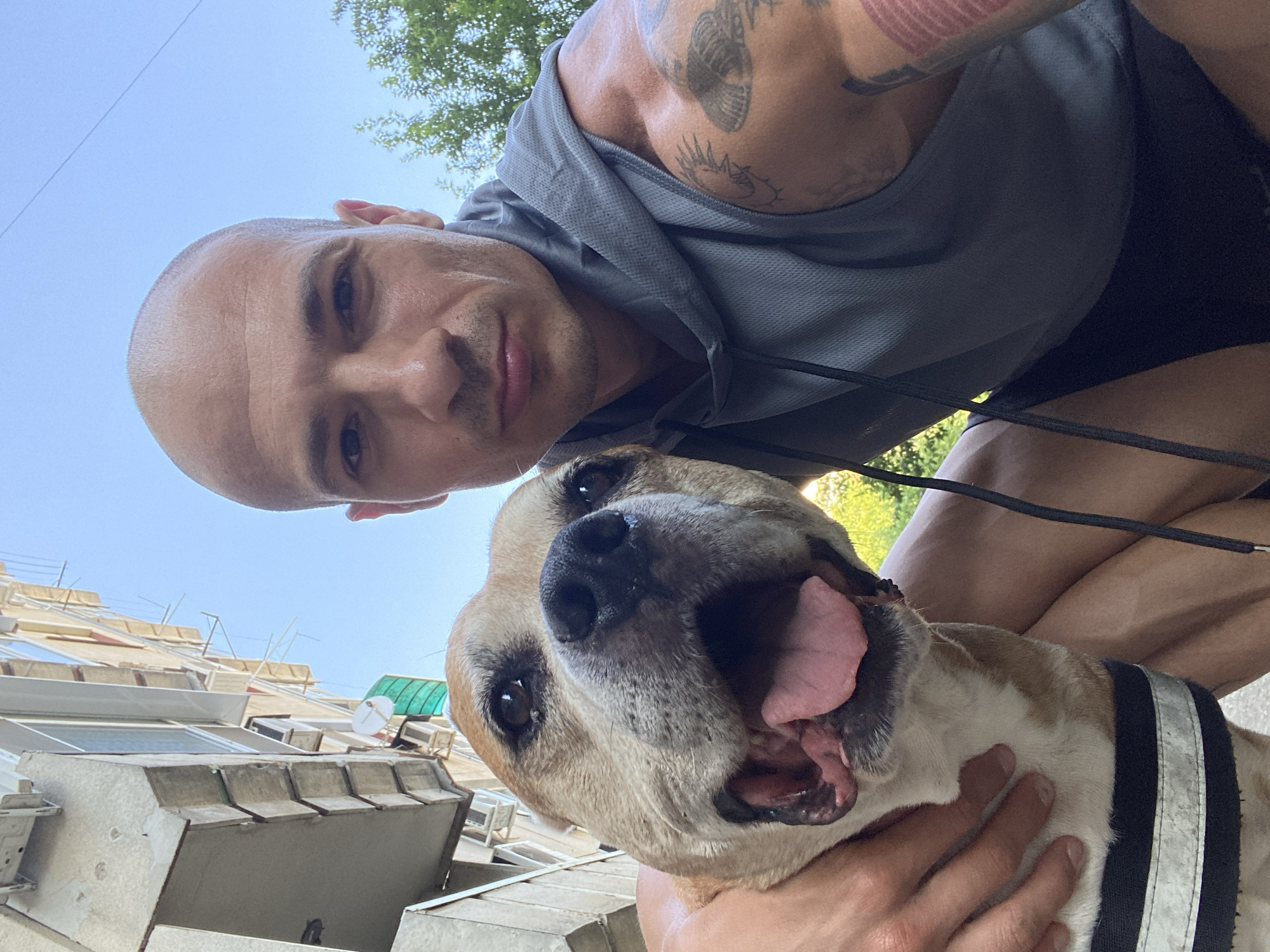 A man with a shaved head and tattoos on his arm is taking a selfie outdoors with a dog. The dog is in the foreground, its mouth open and tongue out, looking at the camera. The man is in the background, also looking at the camera. They are both wearing casual clothing. The environment appears to be urban, with a building in the background and trees on the right side. The sky is clear and blue. The image was taken in Pleven, Bulgaria.