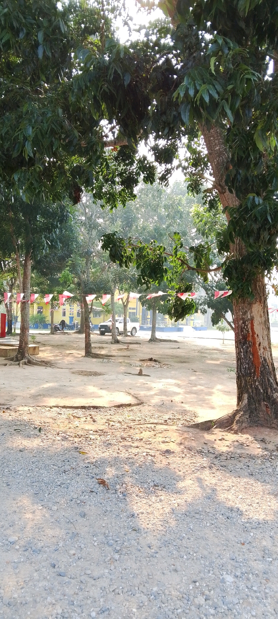 The image depicts an outdoor scene, likely a schoolyard or open area, with trees in the foreground and a building in the background. The ground is a mix of gravel and dirt, with some patchy dry vegetation. In the middle ground, there is a row of trees decorated with red and white triangular flags, suggesting a festive or ceremonial occasion. Behind the trees, a yellow building with blue trim is visible, possibly a school or administrative building. Several vehicles, including a white pickup truck and motorcycles, are parked in front of the building. The lighting suggests it is daytime, with sunlight filtering through the leaves of the trees, casting shadows on the ground. The overall impression is one of a quiet, possibly sunny day in a semi-developed area.
