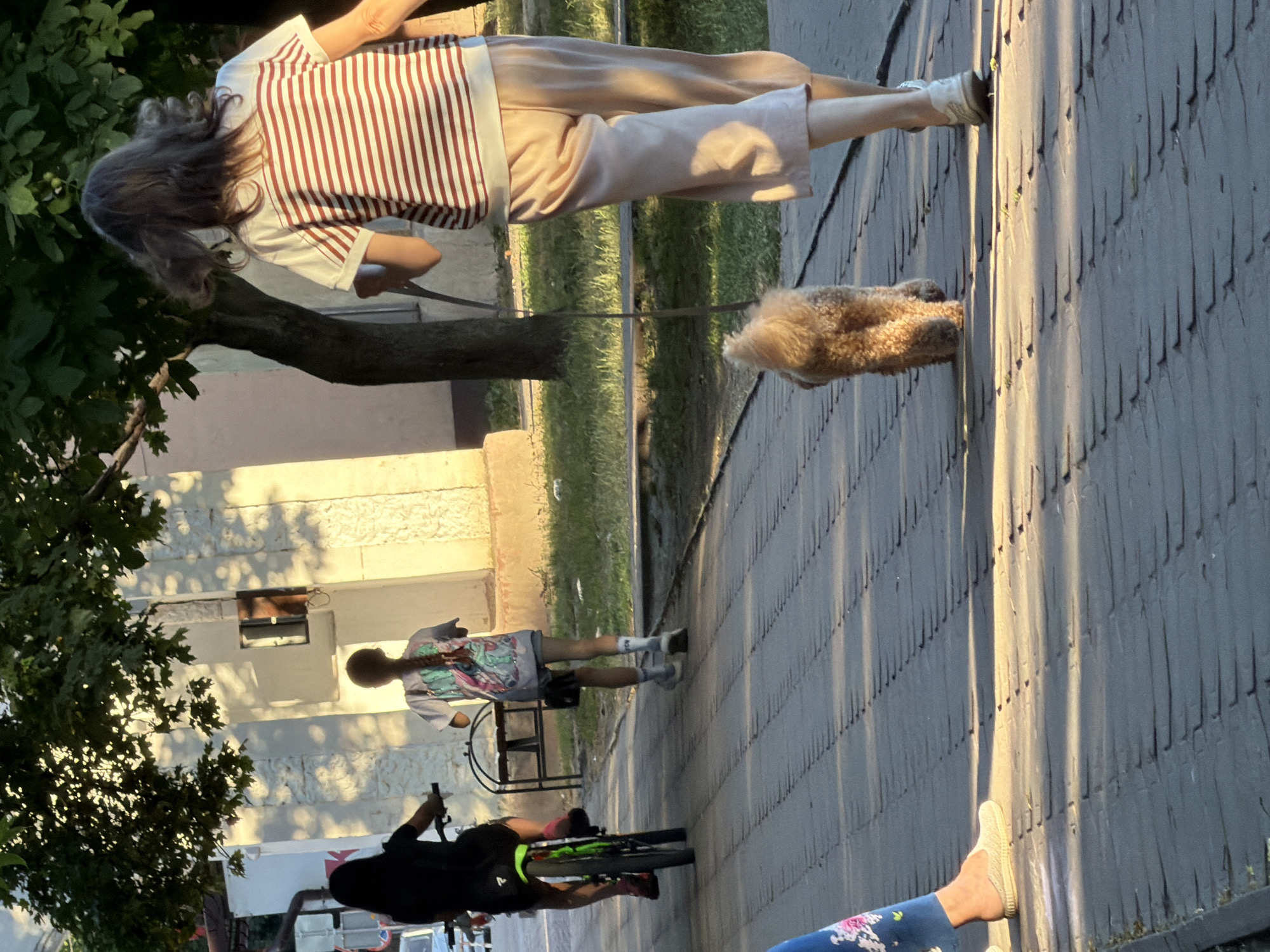 The image shows a street scene with several individuals and a dog. In the foreground, a person is walking a small, fluffy dog on a leash. The person is wearing a striped shirt and light-colored pants. Further down the street, another person is seen with a bicycle. This individual is wearing a graphic t-shirt and shorts. The scene appears to be outdoors, with a paved walkway and grass visible. Buildings and trees are in the background. The lighting suggests it is daytime, possibly late afternoon, with shadows cast by the sun. The overall atmosphere seems casual and relaxed, with people enjoying an outdoor stroll. The location context indicates this scene is in Kamianka-Buzka, Ukraine.