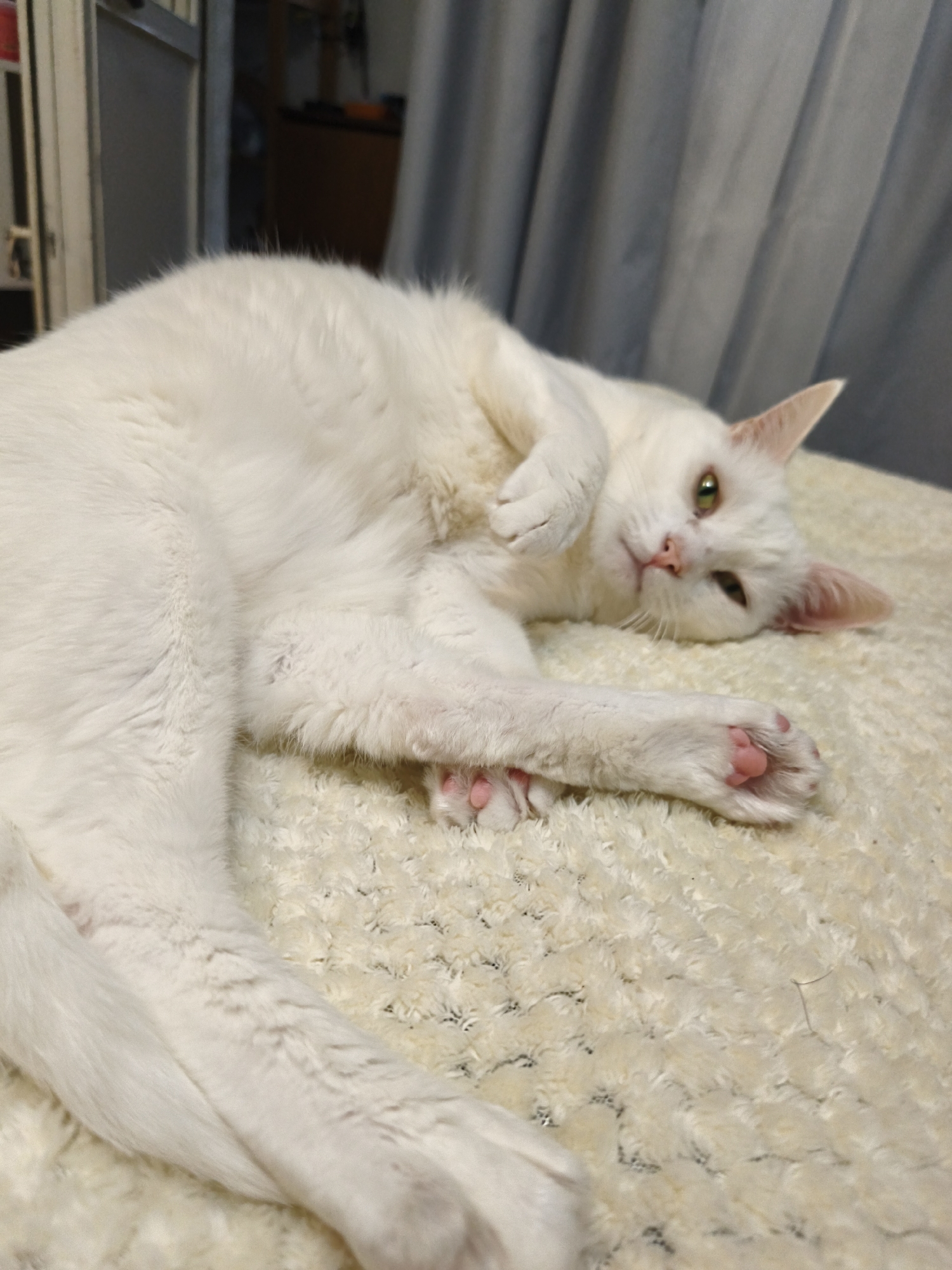 A white cat is lying on a textured cream-colored surface, possibly a blanket or bedspread. The cat is positioned on its side, with its head resting at an angle and its paws visible. The cat has light-colored eyes, and its pink toe beans are visible. In the background, there is a partially visible window or door frame, and a draped curtain. The location is not apparent from the image.