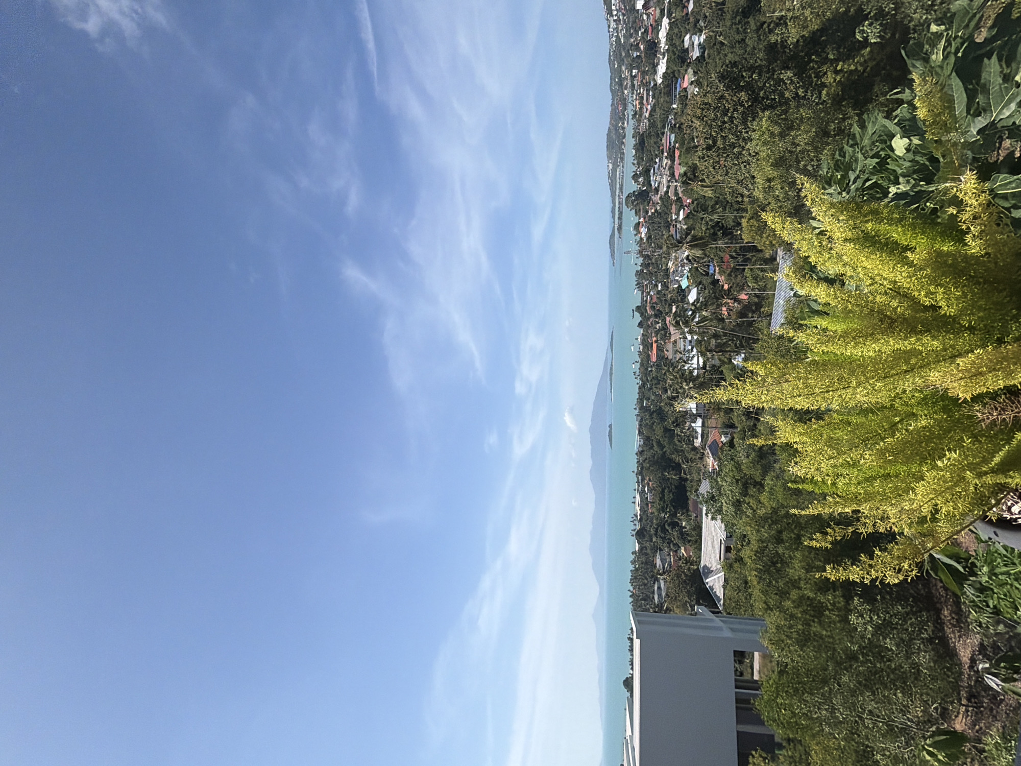The image displays a panoramic view of a coastal town in the Ko Samui District of Thailand. The scene is dominated by a vast expanse of clear blue sky with sparse white clouds. Below the sky, a bright turquoise ocean stretches across the horizon, meeting a chain of distant, hazy mountains.
In the foreground, a lush green environment is visible, with dense foliage and trees. A prominent, bright yellow, flowering plant with multiple spiky branches is positioned in the lower right corner of the frame, partially obscuring the view of the town. To the left, a modern white building with sharp geometric lines stands out against the natural backdrop.
The middle ground reveals a densely populated town, characterized by numerous houses with red and orange tiled roofs, interspersed with palm trees and other vegetation. A network of roads and infrastructure is subtly visible within the urban sprawl. The town appears to be situated on a gentle slope, leading down towards the coast. Small boats can be spotted on the water in the distance, suggesting maritime activity. The overall impression is one of a tropical setting bathed in bright, natural sunlight.