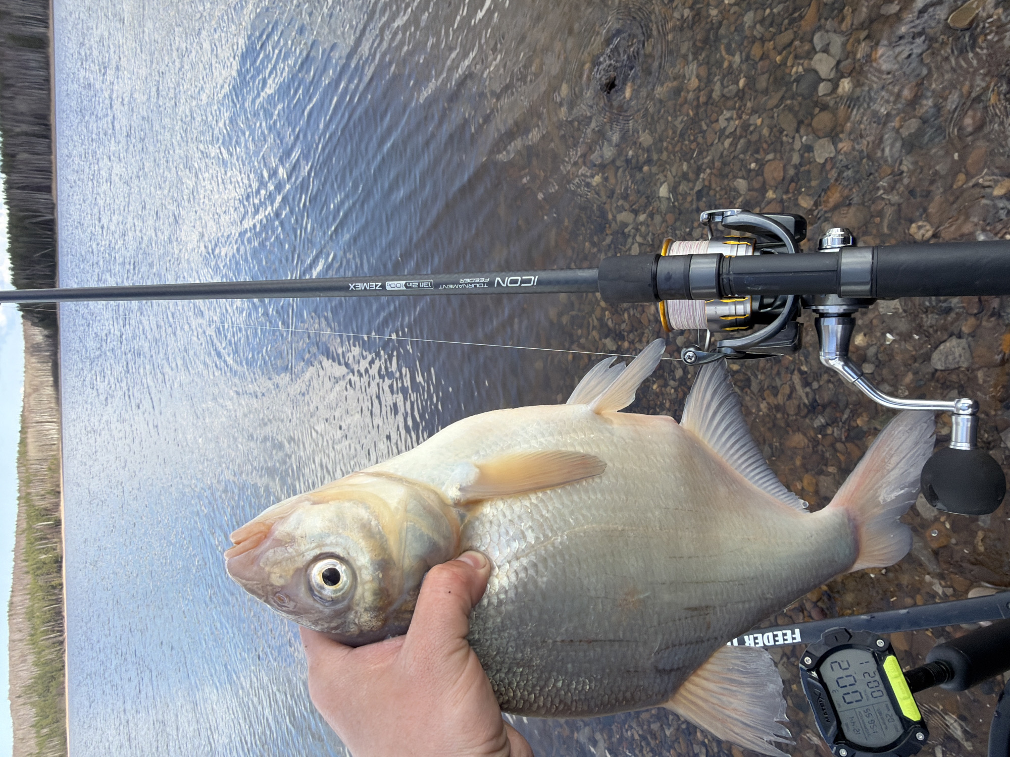 This image captures a close-up, top-down view of a fishing scene in Chaykovsky, Russia. A large, silvery-white fish, identified as a bream (likely Common Bream - *Abramis brama*), is held by a human hand in the foreground. The fish has a deep, compressed body and relatively small head.
Dominating the upper part of the frame is a black fishing rod with a reel attached. Visible text on the rod identifies it as a "ZEMEX ICON TOURNAMENT FEEDER" with specifications "13FT 210G." A digital scale, branded "MATRIX FEEDER TAPE," is positioned near the fish's tail. Its display shows several numbers, including "00.2" (possibly indicating a measurement unit like length in meters or weight in kilograms), "12:44" (time), and other timestamps like "1:58:55" and "1:59:51." The number "200" is also visible on the screen.
The setting is a shallow, clear body of water with a rocky and pebbly bottom clearly visible through the water. The water surface has gentle ripples, reflecting the bright daylight. In the background, across the water, a dense treeline or forest is visible along the distant bank. The scene suggests a successful fishing outing during daytime, likely under clear weather conditions, with the angler preparing to weigh or measure their catch.