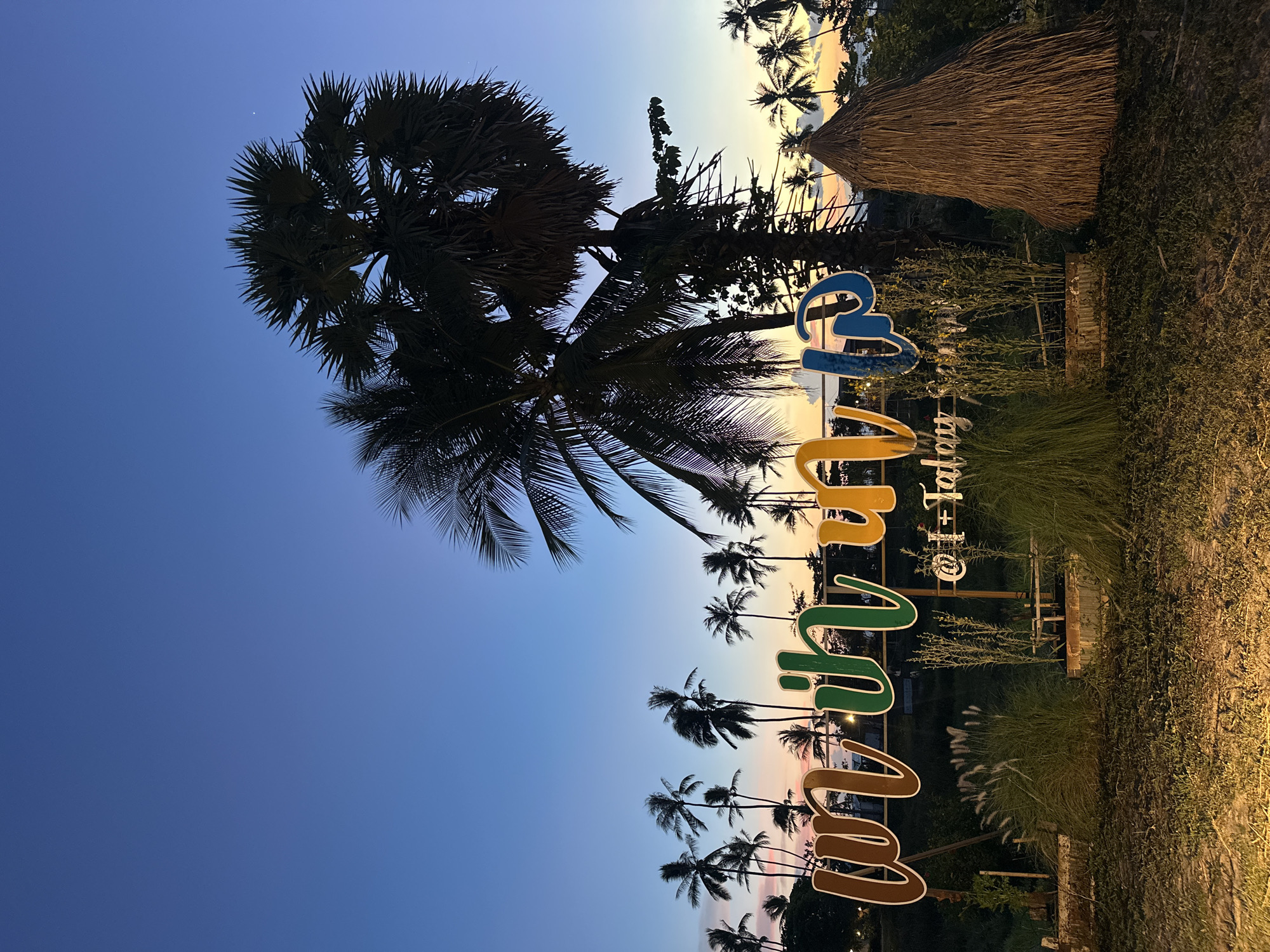 The image depicts a scenic view at dusk in Baan Taling Ngam, Thailand, characterized by a twilight sky transitioning from deep blue to soft orange and pink hues. In the foreground, a large, colorful sign with stylized lettering in brown, green, blue, and yellow stands prominently. Beneath the main sign, smaller text reads "@ I + Talay Samui." The sign is surrounded by lush green foliage, including tall grasses and what appear to be potted plants. To the right of the sign, a conical structure made of dried palm fronds, resembling a haystack or a traditional hut, adds to the tropical ambiance.
In the background, a dense arrangement of palm trees stretches across the horizon, their silhouettes stark against the vibrant sky. The diverse heights and shapes of the palm trees suggest a natural, untamed landscape. The overall scene conveys a sense of tranquility and tropical allure, likely representing a beachfront location or a resort area in Baan Taling Ngam. No people are visible in the image.