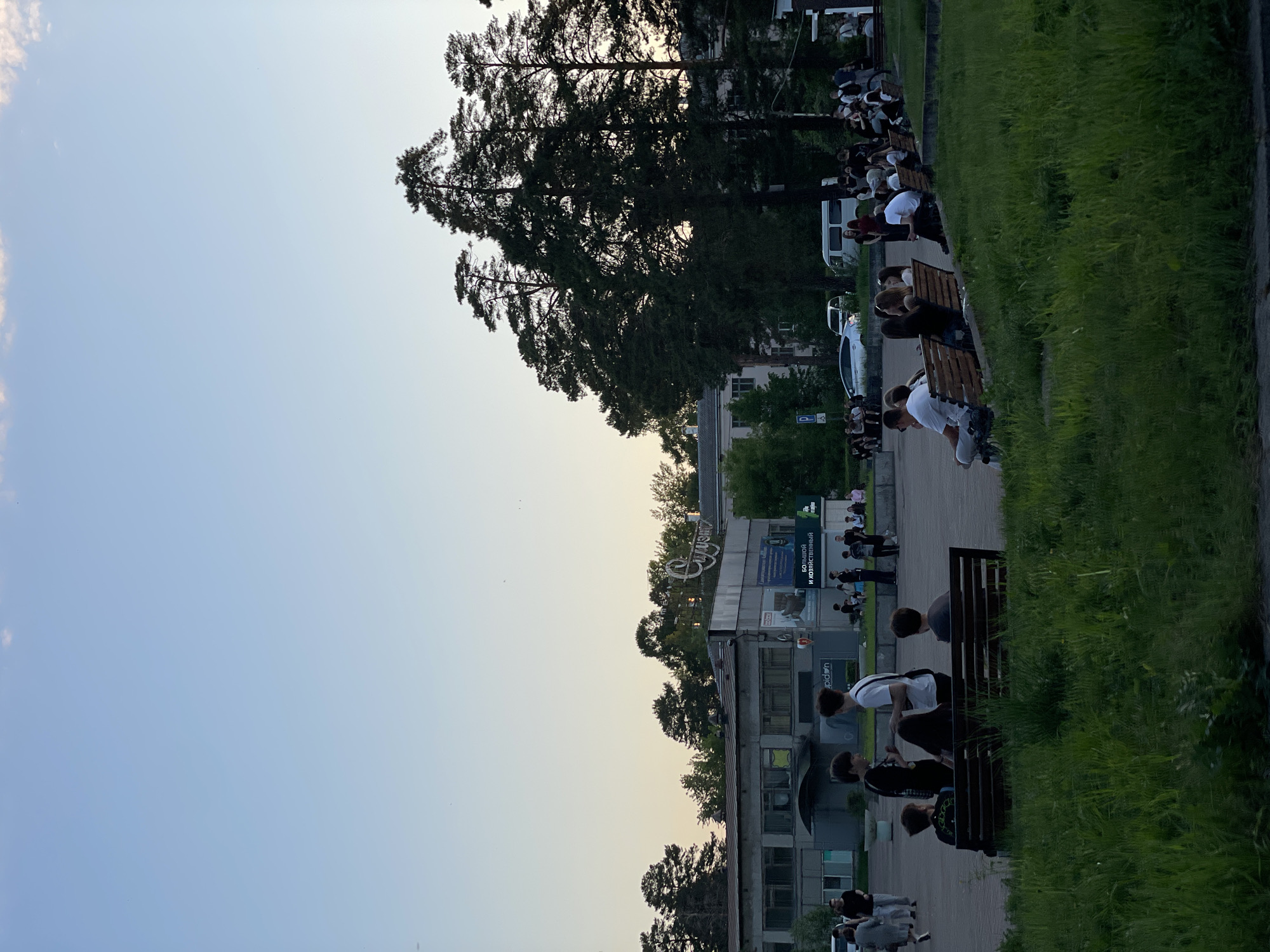 This image, rotated 90 degrees clockwise, captures an outdoor scene in what appears to be a park or public area adjacent to a commercial zone in Zheleznogorsk, Russia, during late afternoon or early evening. The sky, occupying the left half of the frame, transitions from a pale blue with faint clouds to a warmer, lighter hue near the horizon, indicative of golden hour lighting.
The scene is populated by numerous people, mostly young adults, gathered along a paved walkway. Many are seated on wooden slatted benches, arranged in groups, engaging in casual conversation or simply relaxing. In the foreground, on the right side of the image, individuals in white t-shirts and dark clothing are prominent on the benches. A person in a white t-shirt and dark cap is seen sitting, while another in a white shirt bends over.
To the right of the paved area is a strip of green grass, bordering the walkway. Tall, dense coniferous trees, their dark silhouettes contrasting against the sky, form a significant part of the background on the upper left side. Behind the trees and people, a low-rise building with a grey facade and multiple windows is visible. A white van and a white car are parked or moving near the building, and a blue street sign is present.
Visible text on a sign attached to a building in the mid-ground clearly reads "СИЛЬМАН" (SILMAN) in large Cyrillic letters. Below it, other Cyrillic words can be partially deciphered, including "БОЛЬШОЙ" (BIG) and "И ХОЗЯЙСТВЕННЫЙ" (AND HOUSEHOLD/ECONOMIC), suggesting a store or commercial establishment. Another sign shows "uPid." The overall atmosphere is relaxed and social, with groups of people enjoying the mild evening in a communal space.