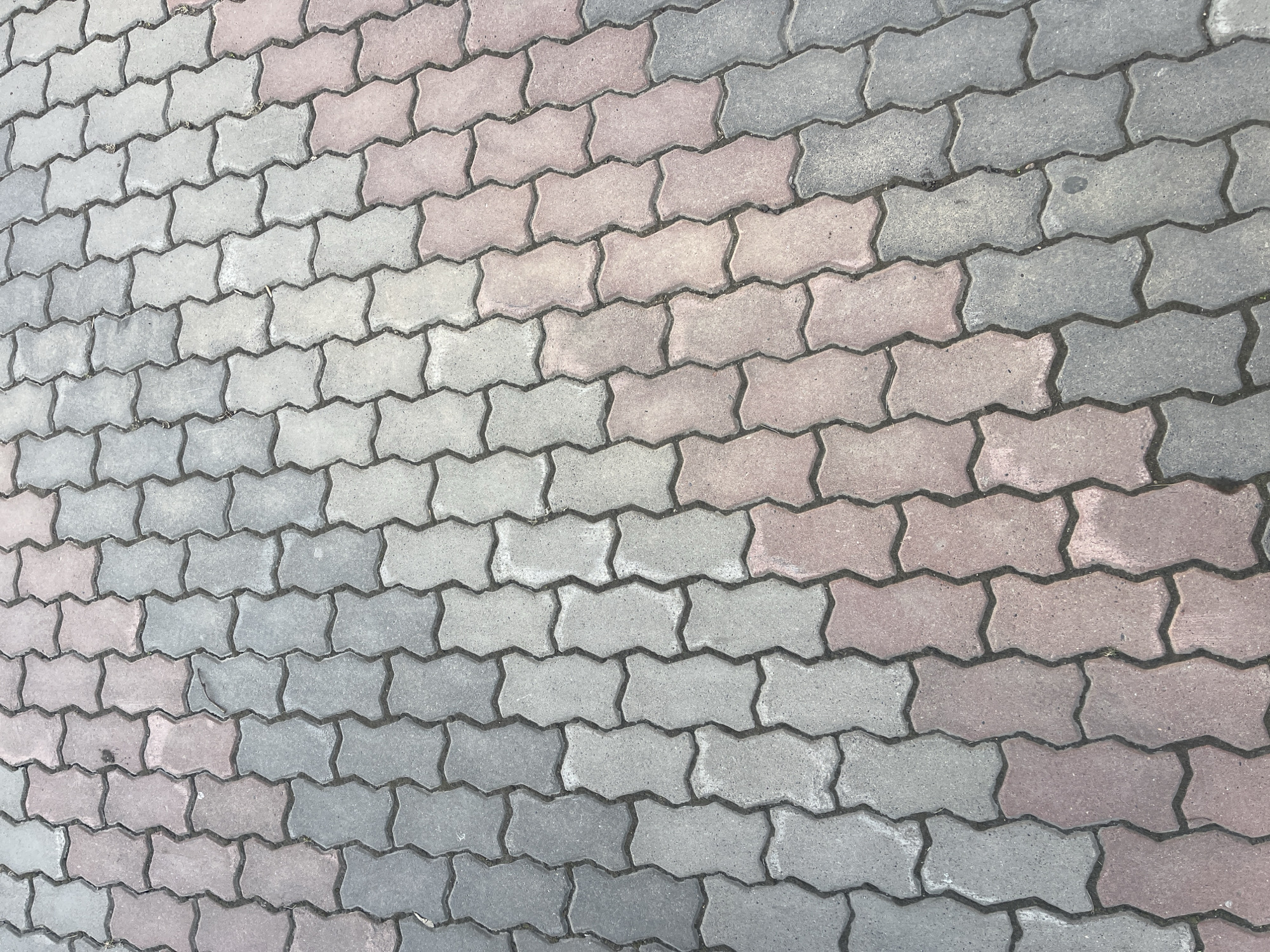 This media file captures a close-up, slightly angled view of a paved surface made of interlocking concrete pavers in Zelenogorsk, Russia.
The primary subjects are numerous zig-zag or S-shaped paving stones, commonly known as dog-bone pavers. They are arranged in a tightly fitted, interlocking pattern, forming a continuous surface. The pavers display a variety of colors, primarily shades of grey ranging from light to dark, interspersed with reddish-brown or pinkish-grey stones. This color variation creates a somewhat mosaic or mottled appearance across the paved area.
The surface appears textured and slightly worn, with visible grout lines or dirt accumulation in the crevices between the stones, especially where they interlock. No specific activity or event is taking place, and no people are visible. The lighting suggests it is daytime, with no strong shadows indicating a particular time of day or weather conditions beyond dry. There is no visible text in the image.