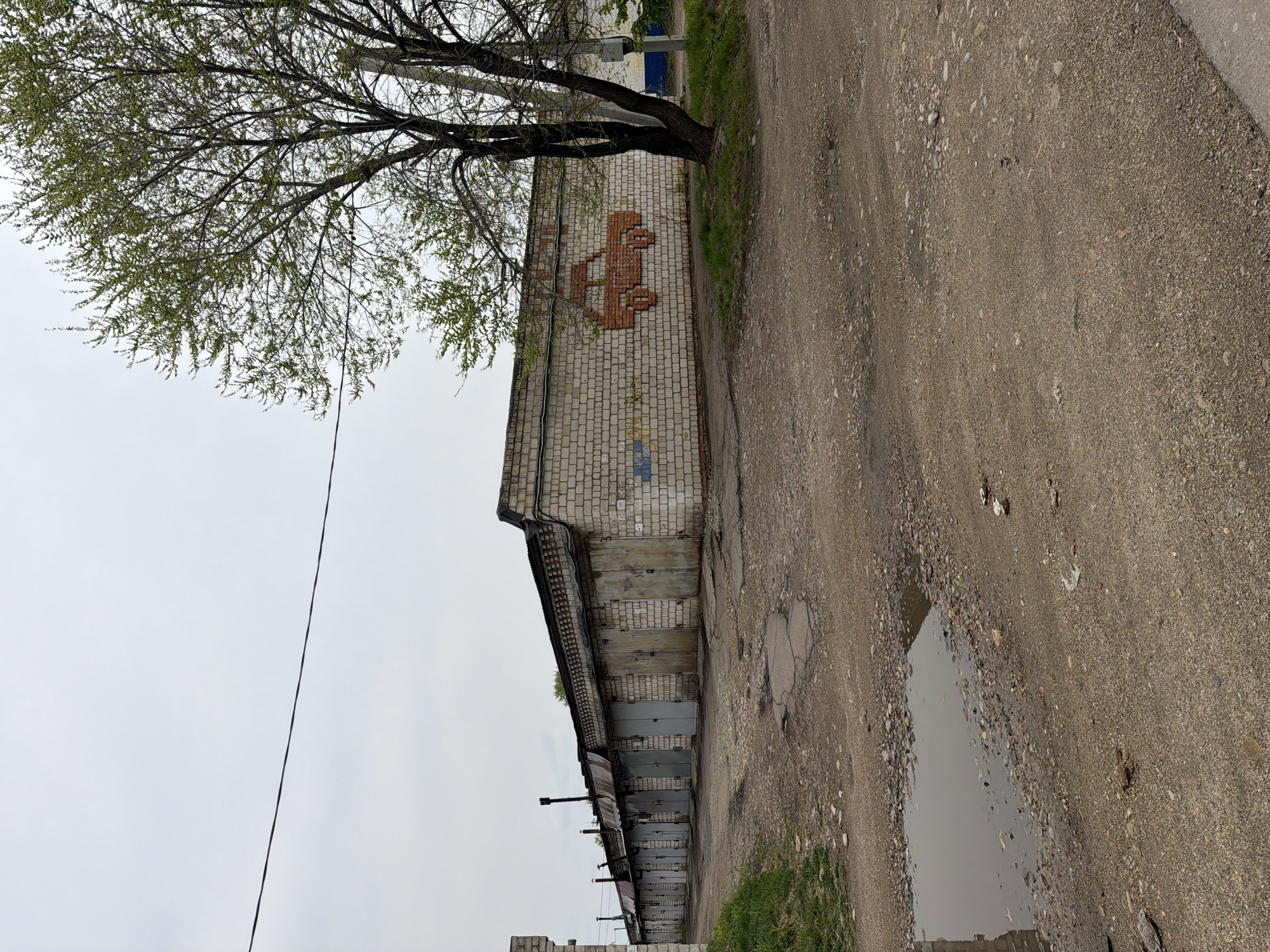The image depicts a row of garages situated along a dirt and gravel road. The garages are constructed of brick and have metal doors. One garage has a crude brick mosaic of a car. A tree grows beside the garages. A puddle is visible on the road. The sky is overcast. The image is likely located in Birobidzhan, Russia, as the prompt suggested. No people are visible.