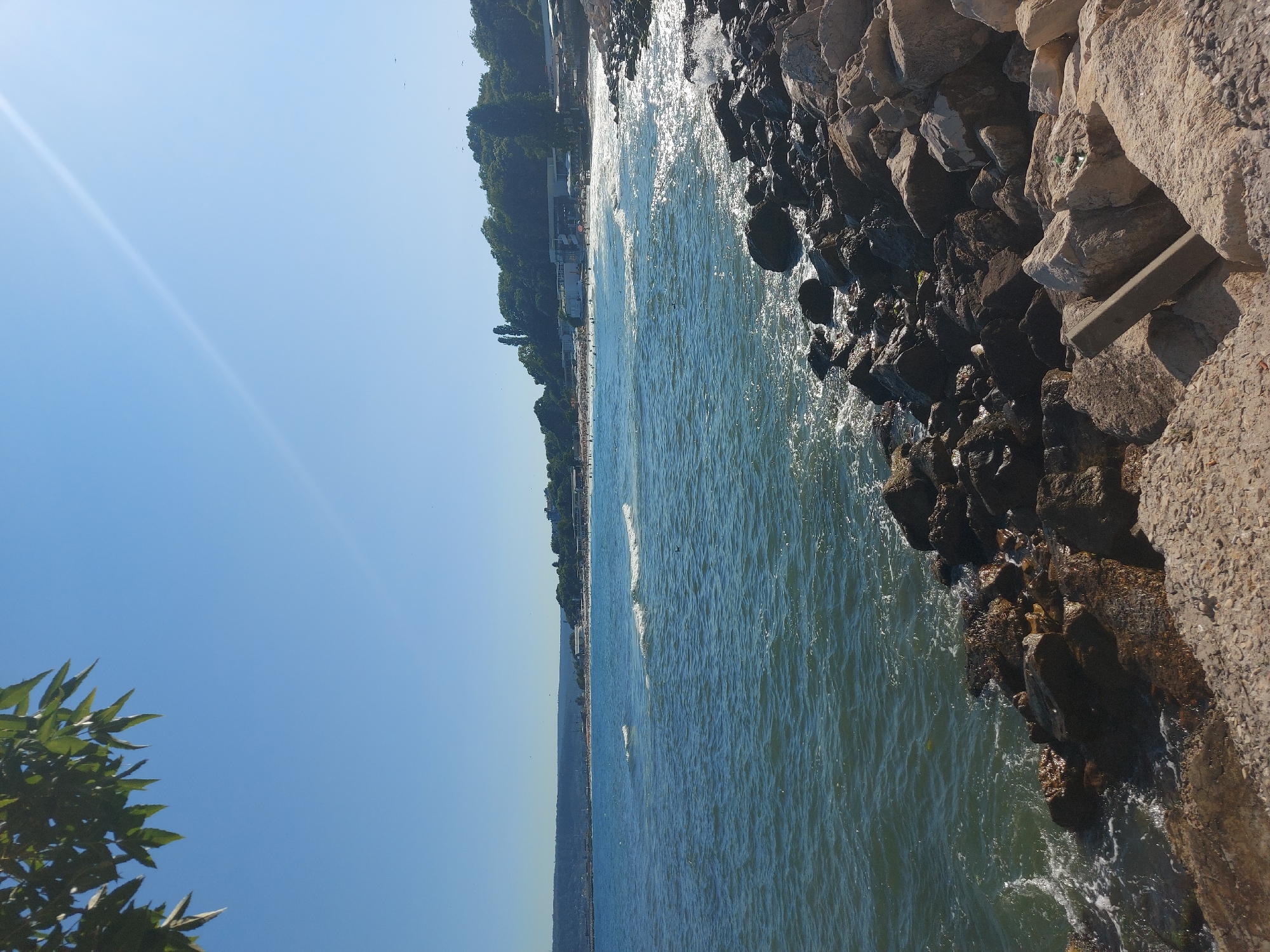 A sun-drenched, clear blue sky dominates the upper portion of the image. In the top left corner, the dark green leaves of a tree branch hang into the frame. A diagonal sunbeam cuts across the sky from the upper right towards the center.
The middle section of the image features a serene blue sea with gentle waves rolling towards the shore. The water is moderately choppy, creating white foam where the waves break. Scattered throughout the water are a few dark specks, potentially birds or debris.
The foreground and right side of the image are composed of a rocky shoreline. Large, dark, wet rocks are clustered near the water's edge, with smaller, lighter-colored rocks and gravel filling the immediate foreground. The rocks are smooth and worn, indicating prolonged exposure to the sea.
In the background, a sandy beach is visible, lined with numerous people. White buildings, possibly restaurants or changing rooms, are situated behind the beach, and beyond them, a lush green hillside rises, covered in dense trees. In the far distance, a hazy, dark mountain range forms the horizon line. The overall scene depicts a peaceful day at the beach, likely in a resort area. This view is consistent with the coastline of the city of Varna, Bulgaria, known for its seaside resorts and beaches.