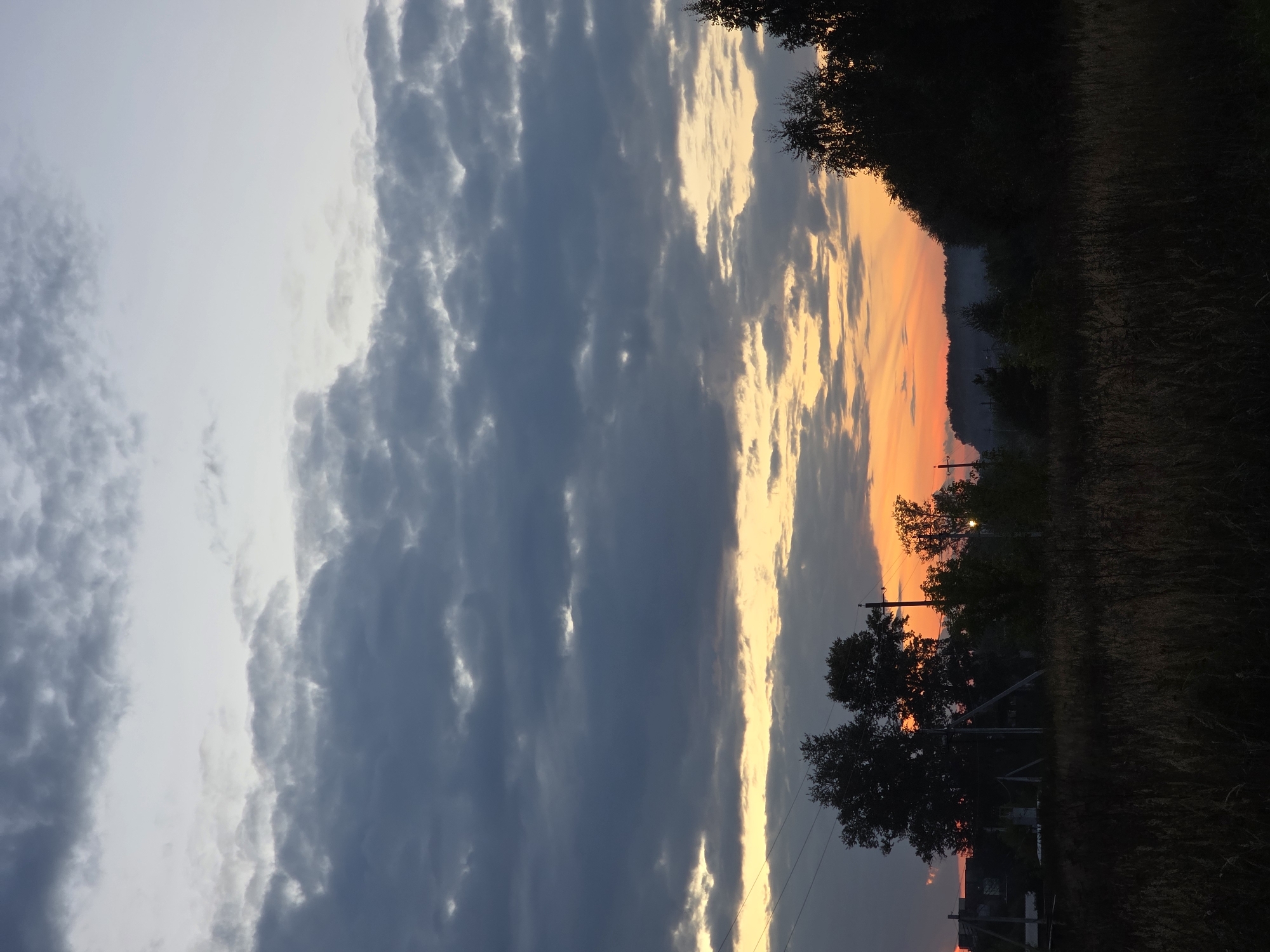 The image depicts a rural landscape at dusk, likely in or near Rechitsy, Russia. The sky is filled with dramatic clouds, ranging from dark gray to lighter shades, with a band of vibrant orange and yellow light near the horizon, indicating the setting sun. Silhouetted against the sky are several trees, some appearing tall and leafy, others more sparse. In the mid-ground, there are hints of human habitation, with the dark shapes of buildings and utility poles visible. The foreground is dominated by dry, tall grass and foliage, suggesting a field or meadow. The overall impression is one of a serene, twilight scene in a natural setting with a touch of civilization. There are no people or animals visible in the image.