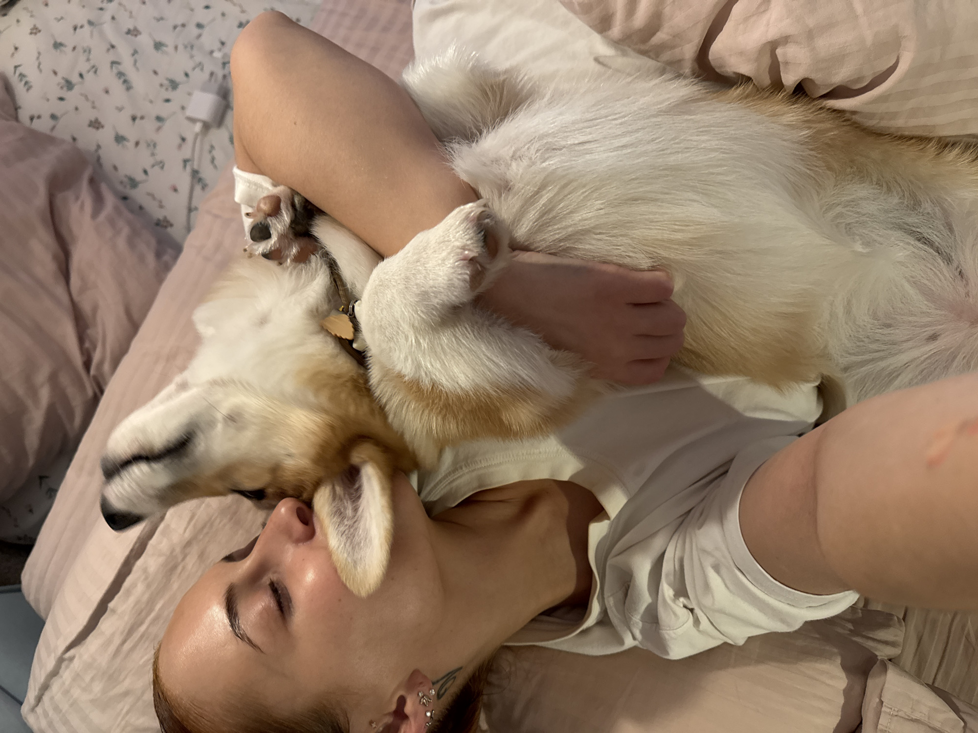 A woman is lying on a bed with a corgi dog on top of her. The woman is lying on her back with her eyes closed, and the dog is lying on her chest. The woman is wearing a white t-shirt. The corgi has white, tan, and brown fur. The bed has pink sheets and a pillow with a floral pattern. A charging cable can be seen in the background.
I cannot confirm the location of the image as Chaikovsky, Russia.