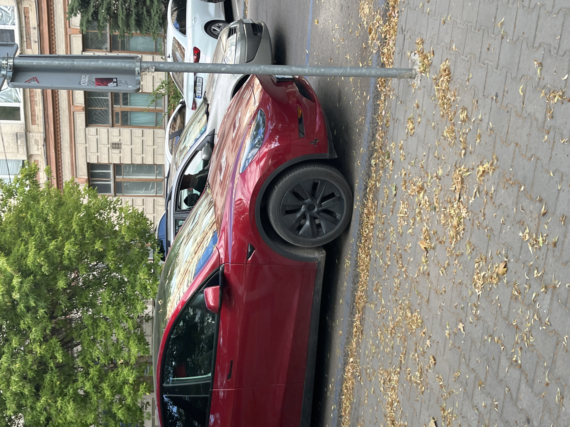 A red Tesla Model 3 is parked on a sidewalk in Dnipro, Ukraine. The car is a vibrant red and has black wheels. Fallen leaves are scattered on the grey, paved sidewalk, suggesting it might be autumn. A tall green tree with dense foliage is visible to the left of the car. In the background, a multi-story building with light-colored walls and numerous windows can be seen. A portion of a white car is visible parked behind the Tesla. A metal traffic sign pole is in the foreground, with some stickers on it, including one with Cyrillic text. The scene appears to be outdoors during the daytime, with fair weather. The image is oriented vertically.