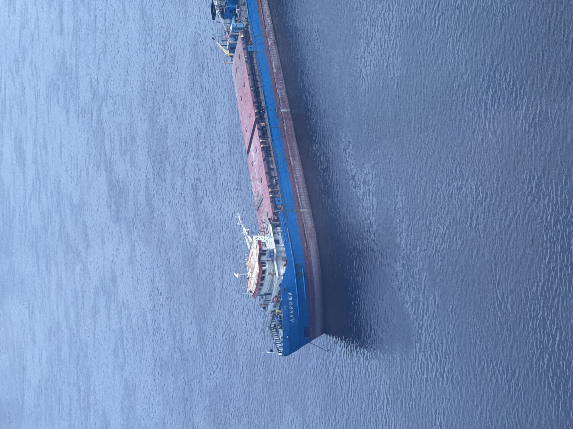 A blue and red ship, with the name "АЛЬРИША" (Al'risha) written on its side, is floating on a large body of water. The water is blue and appears calm. The ship is likely a cargo vessel. The scene is likely a river or large lake in or near Nizhny Novgorod, Russia.