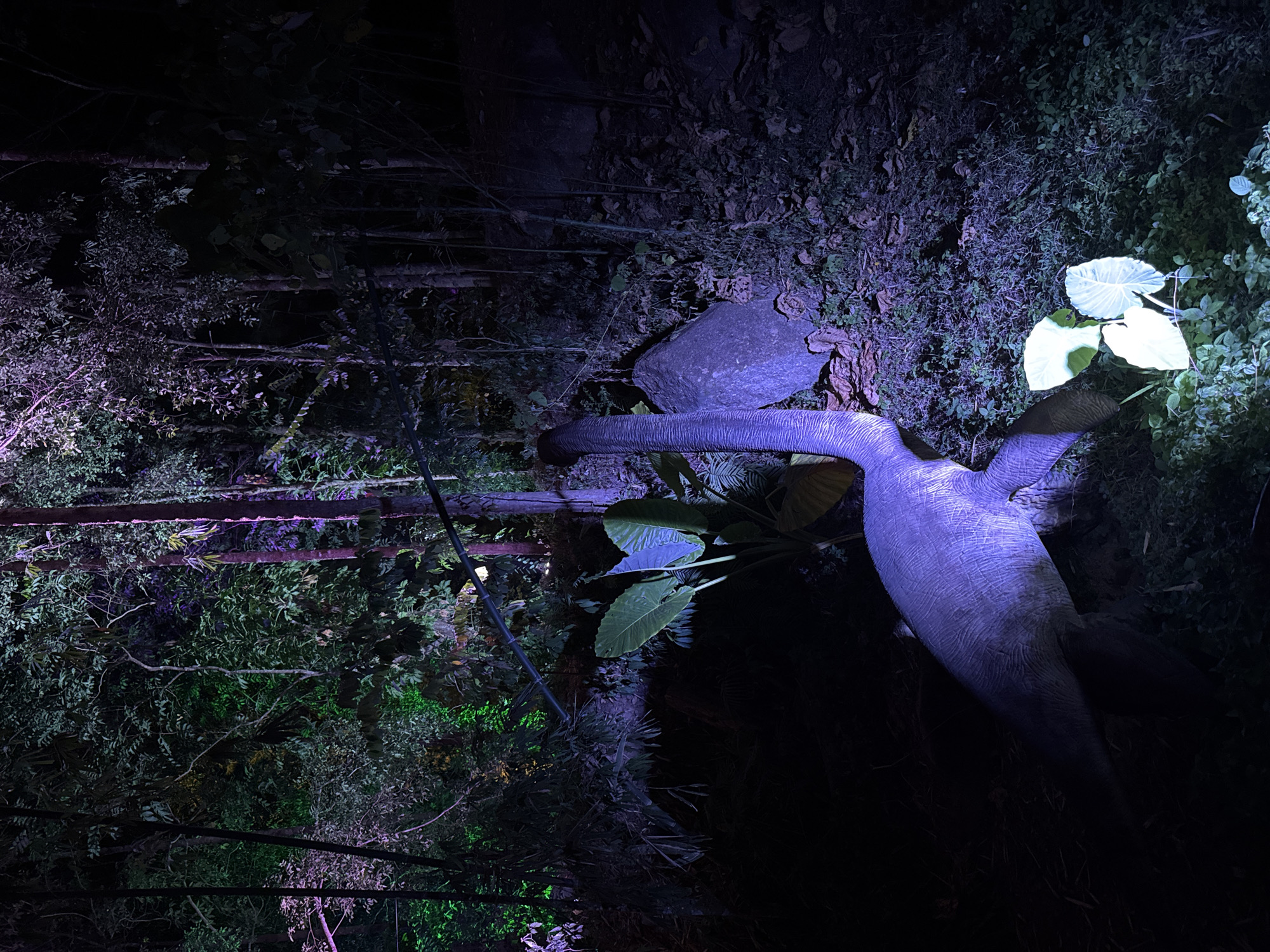 This night-time image, taken in Baan Lipa Noi, Thailand, showcases a section of a densely vegetated, possibly tropical, environment illuminated by artificial lights. The scene is dominated by a large, textured, greyish-purple object in the mid-ground, resembling the trunk or body of an elephant or possibly a dinosaur sculpture, with visible wrinkles and folds on its surface.
The lush foliage around this central object is bathed in vibrant, artificial light. Large, bright green leaves, possibly from a taro or elephant ear plant, are prominently illuminated near the top of the grey object. Other plants and trees throughout the frame are lit with varying hues of purple, pink, and green, creating a mystical and otherworldly atmosphere against the dark background. Several rocks or boulders also appear, glowing with a subtle purple light. In the background, indistinct shapes of tree trunks or wooden structures are barely discernible amidst the heavy darkness and dense canopy. A thin, dark pole or support structure is visible on the left side of the frame.
There are no people or discernible activities taking place, and no visible text. The overall impression is that of a static display, possibly a night garden exhibition or a themed light show, designed to highlight natural elements and a central sculptural piece in an artistic manner. The lighting suggests a warm, humid climate typical of a tropical region.