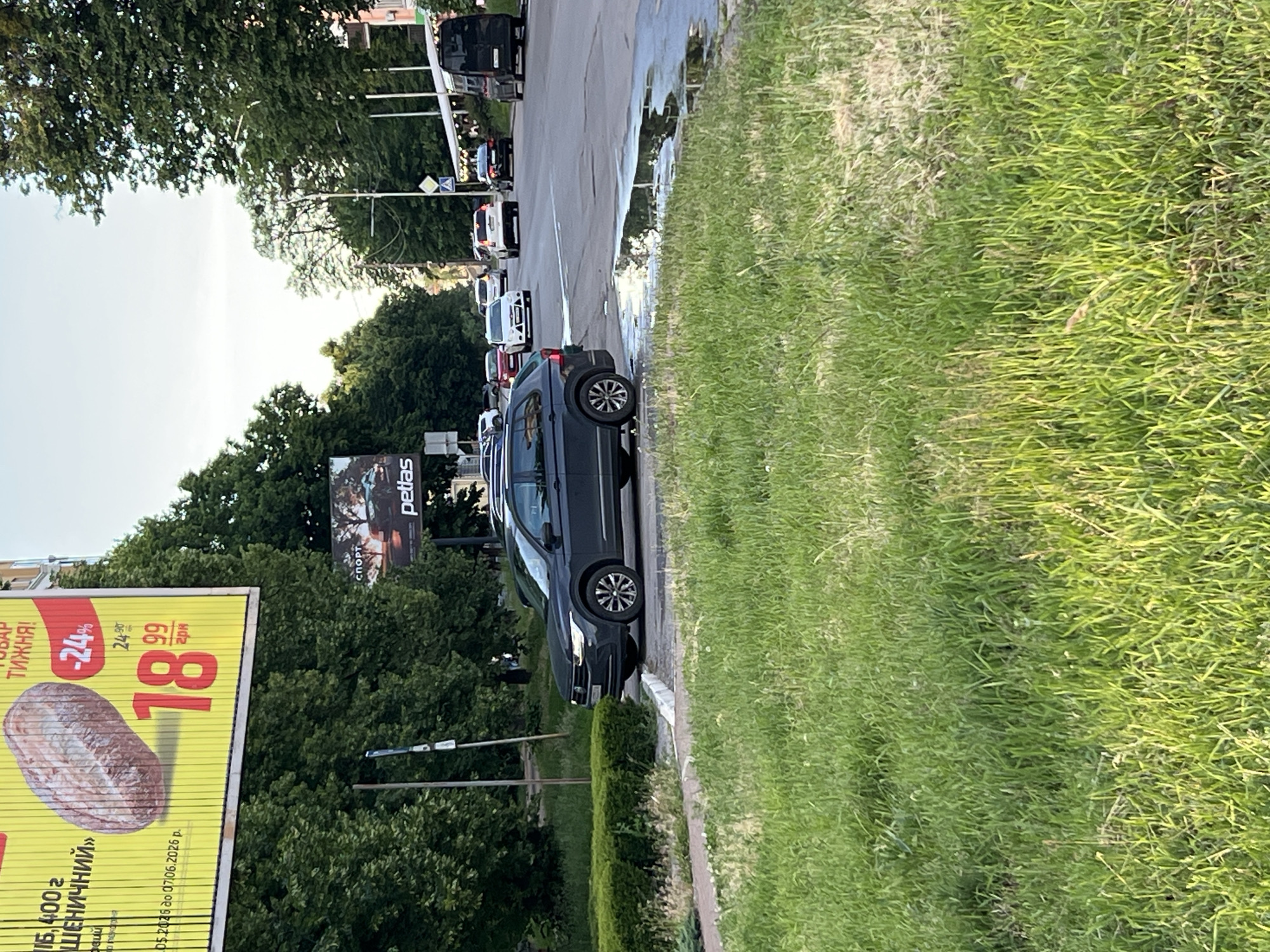 The image captures a daytime street scene in Poltava, Ukraine, likely during the late afternoon or early evening, characterized by bright light and some shadows. The sky appears clear, though parts of the road surface are wet, suggesting recent rainfall or standing water.
In the foreground, a dark gray minivan is parked parallel to a curb, adjacent to a wide strip of neatly maintained green grass that stretches across the right side of the frame. The road, an asphalt surface, extends into the midground where several cars are either parked or part of a line of traffic. These vehicles include white and dark-colored sedans and vans.
The left side of the scene is dominated by lush, dense green trees forming a canopy over parts of the road and roadside. Utility poles and a diamond-shaped road sign are visible amidst the foliage. Two prominent billboards stand out. A large yellow billboard, positioned closer to the viewer, advertises "ХЛІБ 400 Г ПШЕНИЧНИЙ" (400g Wheaten Bread) with a "-24%" discount. The original price is listed as "24.⁹⁰ гри" reduced to "18.⁹⁹ гри". The promotion is valid from "05.2026 до 07.06.2026 р." (May 2026 to June 7, 2026). Text partially visible above the bread advertisement reads "ТИЖНЯ!" (WEEK!). Further back and slightly obscured by trees, a smaller, darker billboard displays the words "СПОРТ" (SPORT) and "petlas," likely promoting a sports-related item or a tire brand. The overall scene depicts a typical urban environment with daily traffic and advertising.