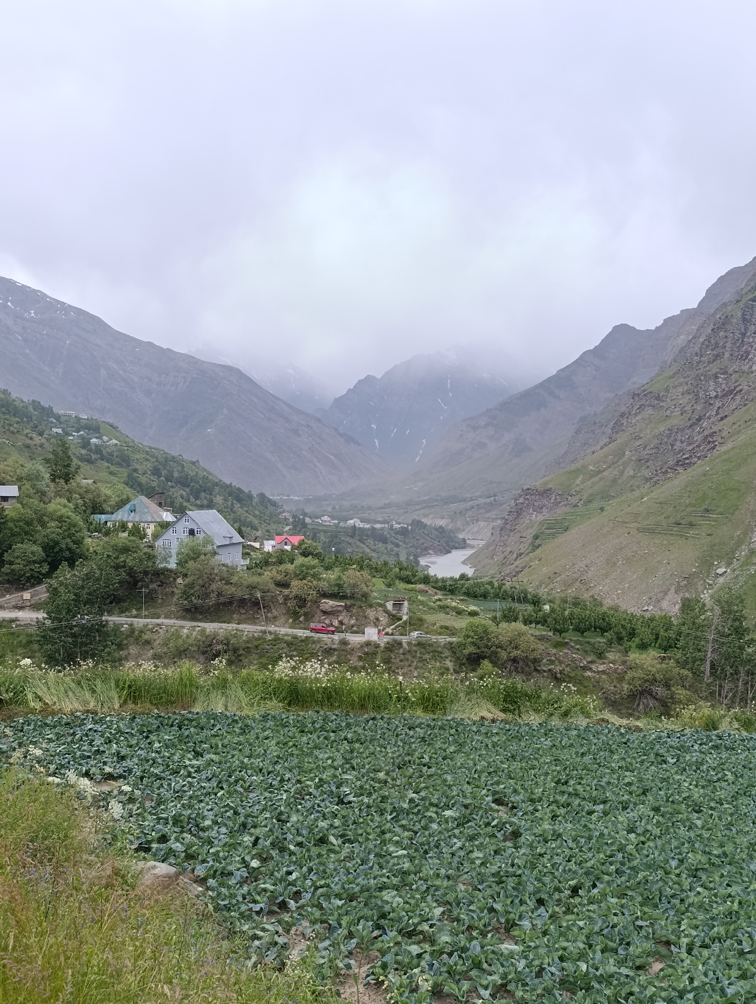In the city of Tandi, India, this image captures a scenic view of a valley under a cloudy sky. In the foreground, a field of green crops, likely cabbage or cauliflower, stretches across the frame. A dirt path runs along the edge of the field, with tall grass and some wildflowers growing beside it.
Further back, a winding road traverses the hillside, with a red vehicle visible. Several houses are scattered across the slopes, interspersed with lush green trees and shrubs. The middle ground features a cluster of houses, one with a distinctive blue roof and another with a red roof, nestled amongst the foliage.
The background reveals a dramatic mountain landscape, with steep, rocky slopes reaching towards the sky. A river or body of water snakes through the valley floor, reflecting the overcast sky. The mountains are partially obscured by mist and clouds, adding a sense of depth and atmosphere to the scene. The overall impression is one of a remote, rural settlement surrounded by the grandeur of nature.