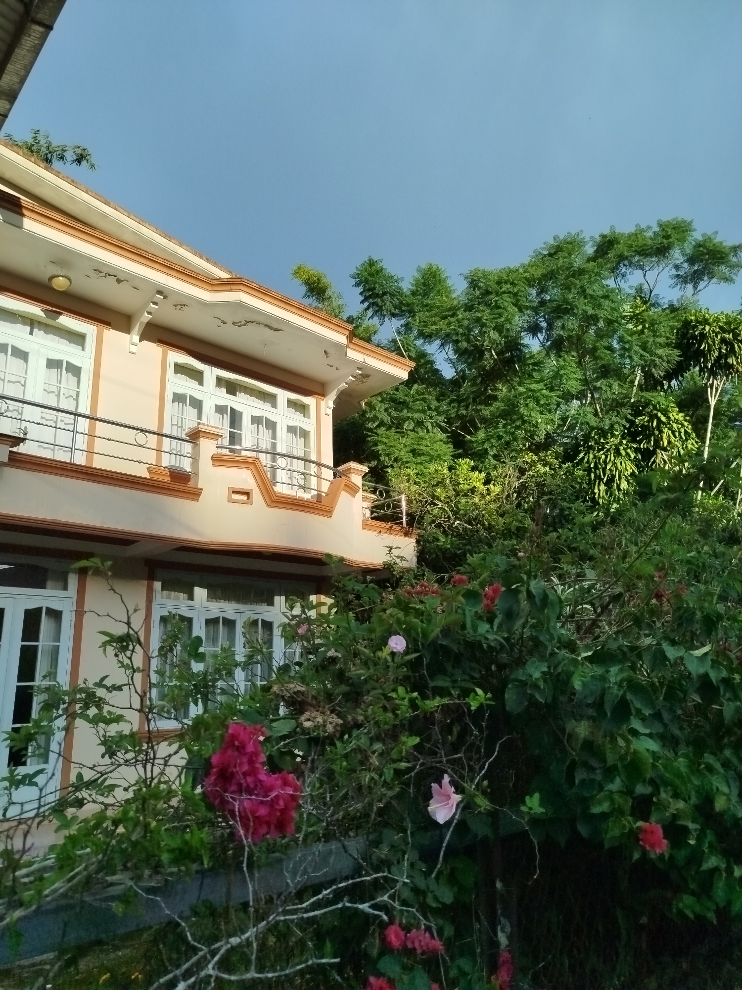The image shows a two-story building with a beige facade and orange trim, featuring white-framed windows and a balcony with a metal railing. The building is surrounded by lush green foliage and flowering plants, including bright pink and red flowers. Tall trees are visible behind the building. The sky is a clear blue with some clouds. The scene appears to be set in a residential area in Da Lat, Vietnam, known for its pleasant climate and abundant greenery.