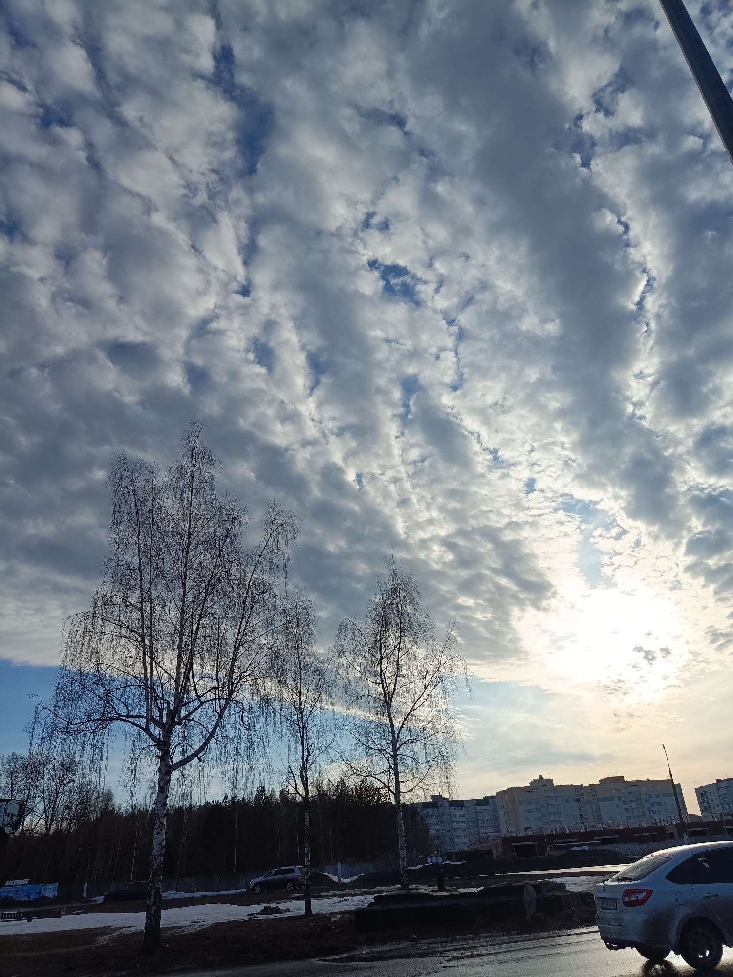The image depicts an urban landscape under a dynamic sky in Chaikovsky, Russia. The upper two-thirds of the frame are filled with a complex pattern of white and grey altocumulus clouds, interspersed with patches of clear blue sky. A bright, low-angle sun is visible on the right, partially obscured by clouds, casting a strong glare.
In the mid-ground and foreground, several bare-branched deciduous trees, consistent with birches, stand prominently. Their slender trunks and fine branches are silhouetted against the sky. To the left, a dark coniferous forest line forms the horizon. Below this, partially visible signage includes a large banner featuring the stylized face of Vladimir Lenin and a blue sign with "AEPOBOT" text. The ground beneath the trees shows patches of melting snow and exposed earth.
On the right side of the foreground, a light-colored hatchback car, possibly a silver Kia Rio with a Russian license plate, is parked or moving slowly, viewed from the rear-right. It is situated on a wet or reflective paved road surface. In the background, beyond the trees and closer to the right, a cluster of multi-story residential buildings, some appearing to be under construction or renovation, define the urban skyline. A streetlight pole is visible on the far right. No people are discernible in the scene.
