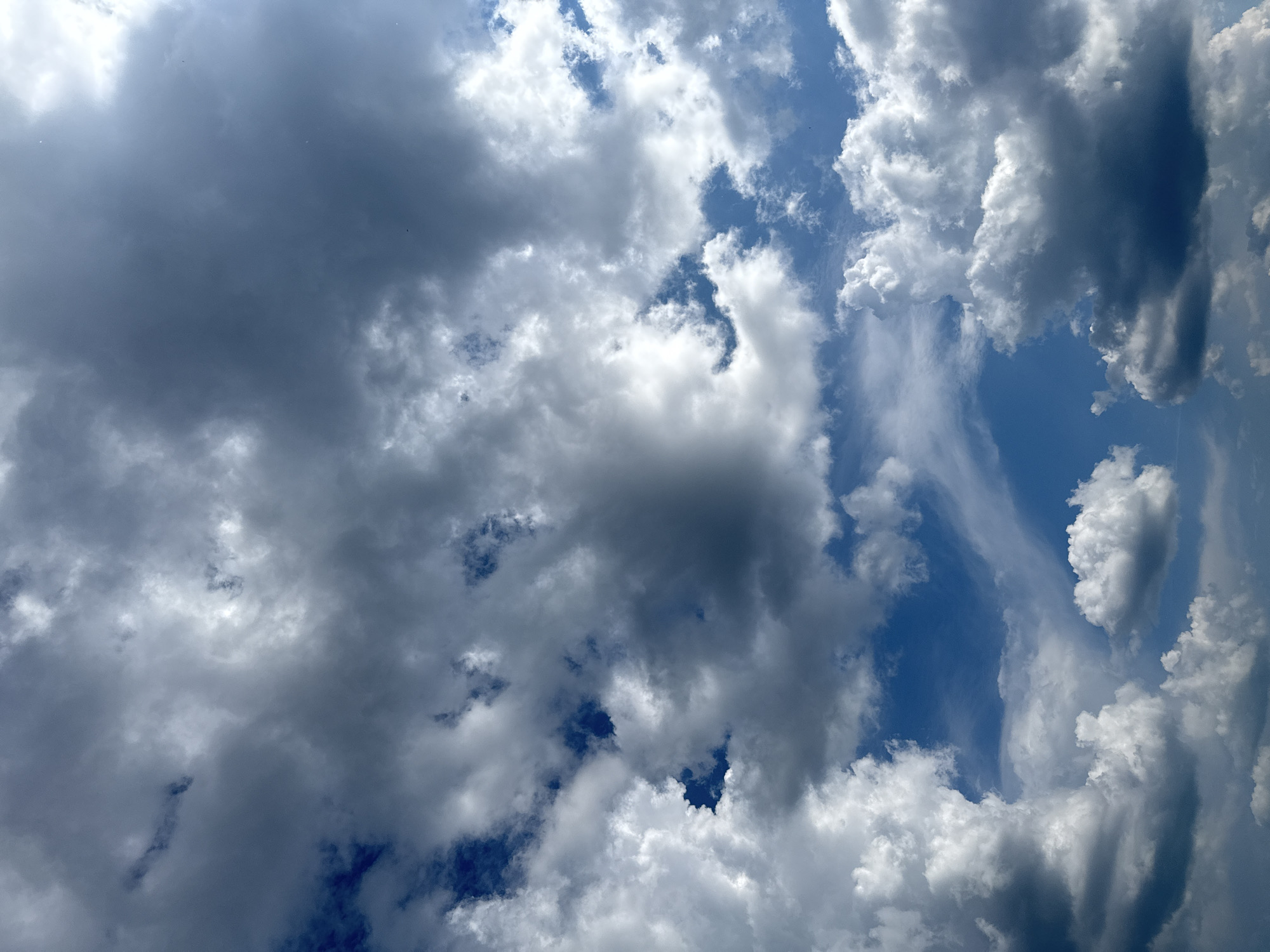 The image is a close-up, low-angle shot of a sky filled with dramatic clouds. The clouds are a mix of dark, heavy storm clouds and brighter, fluffy cumulus clouds, with patches of deep blue sky visible between them. The lighting suggests it could be late afternoon or early evening. There are no people, animals, or man-made objects visible in the frame. The image is an outdoor scene, focusing solely on the atmospheric conditions. The location in Chaikovsky, Russia, is not discernible from the visual elements present in the photograph.