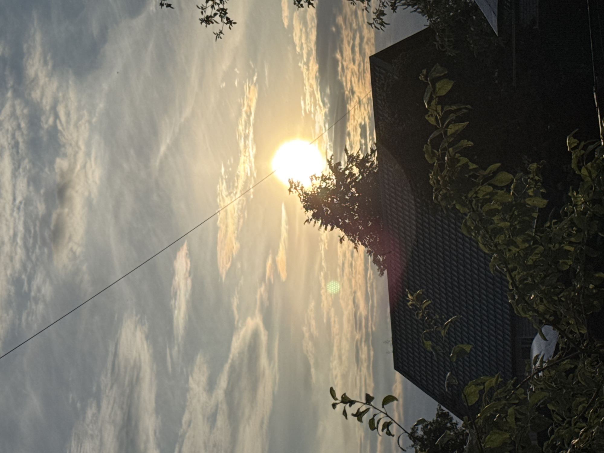 The image depicts a sunset scene over a residential area, likely in Rzhev, Russia. In the foreground, dark foliage, possibly from trees or bushes, partially obscures the lower portion of the frame. Behind the foliage, the dark, textured roof of a house is visible. The house appears to be a single-story or low-rise structure.
The sky is filled with a dramatic display of clouds illuminated by the setting sun. The sun itself is a bright, dominant orb, positioned slightly to the right of the center of the image, its light casting a warm glow and creating a halo effect. Wispy, elongated clouds are scattered across the sky, some tinged with orange and yellow hues from the sunset. A thin, dark line, likely a power line, bisects the upper portion of the sky diagonally from the top left to the middle right. The overall atmosphere suggests a tranquil evening in a suburban or rural setting.