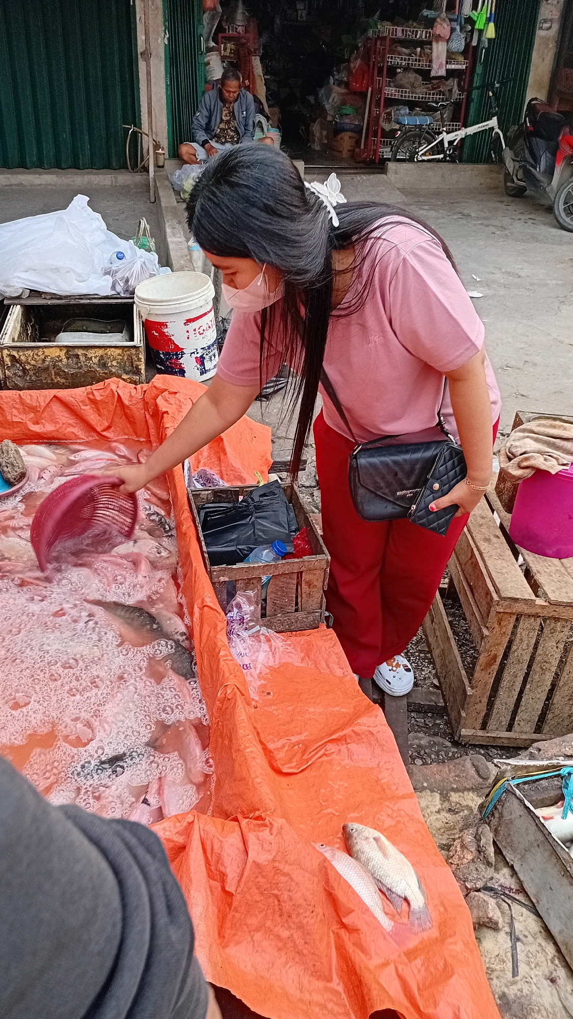 A woman in a pink shirt and red pants, wearing a face mask and a white hair clip, is shown selecting fish from an orange tarp-lined container filled with water. She is holding a red colander. To her right, a wooden crate contains black plastic bags and bottles. In the background, a man sits on the ground in front of a closed shop. A white bicycle and a red scooter are visible near the shop entrance. The scene appears to be an outdoor market in the city of Jambi, Indonesia.
