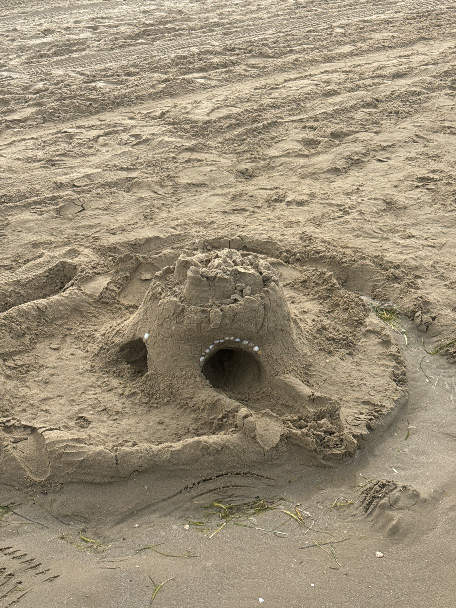 A sandcastle sits on a sandy beach. The sandcastle is circular and has a crenelated top. It has two arched openings and is decorated with small white shells. The sand around the castle is damp and shows tire tracks from a vehicle. Some blades of grass are scattered on the sand. The scene is outdoors on a beach, possibly in Anapa, Russia, given the context. There are no people visible in the image.